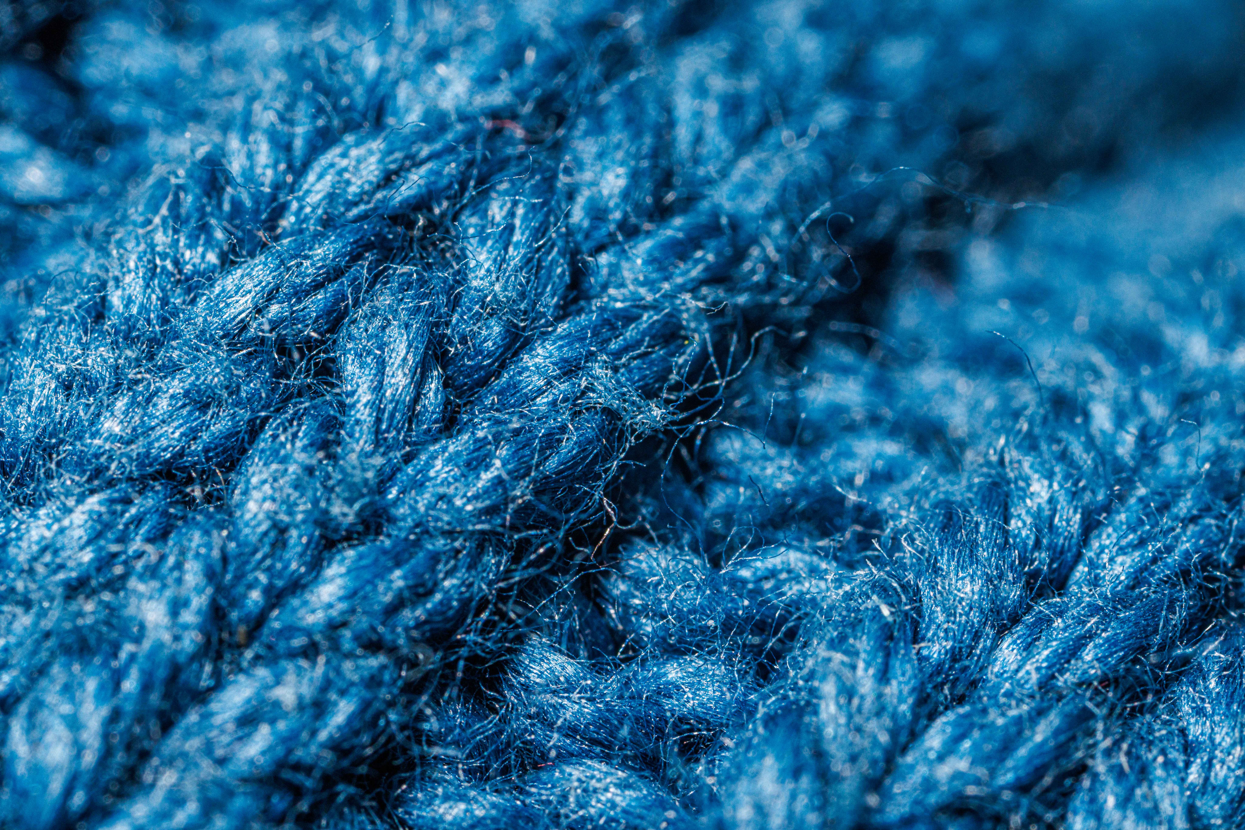 Макро съемка. Фотограф Балаев Михаил