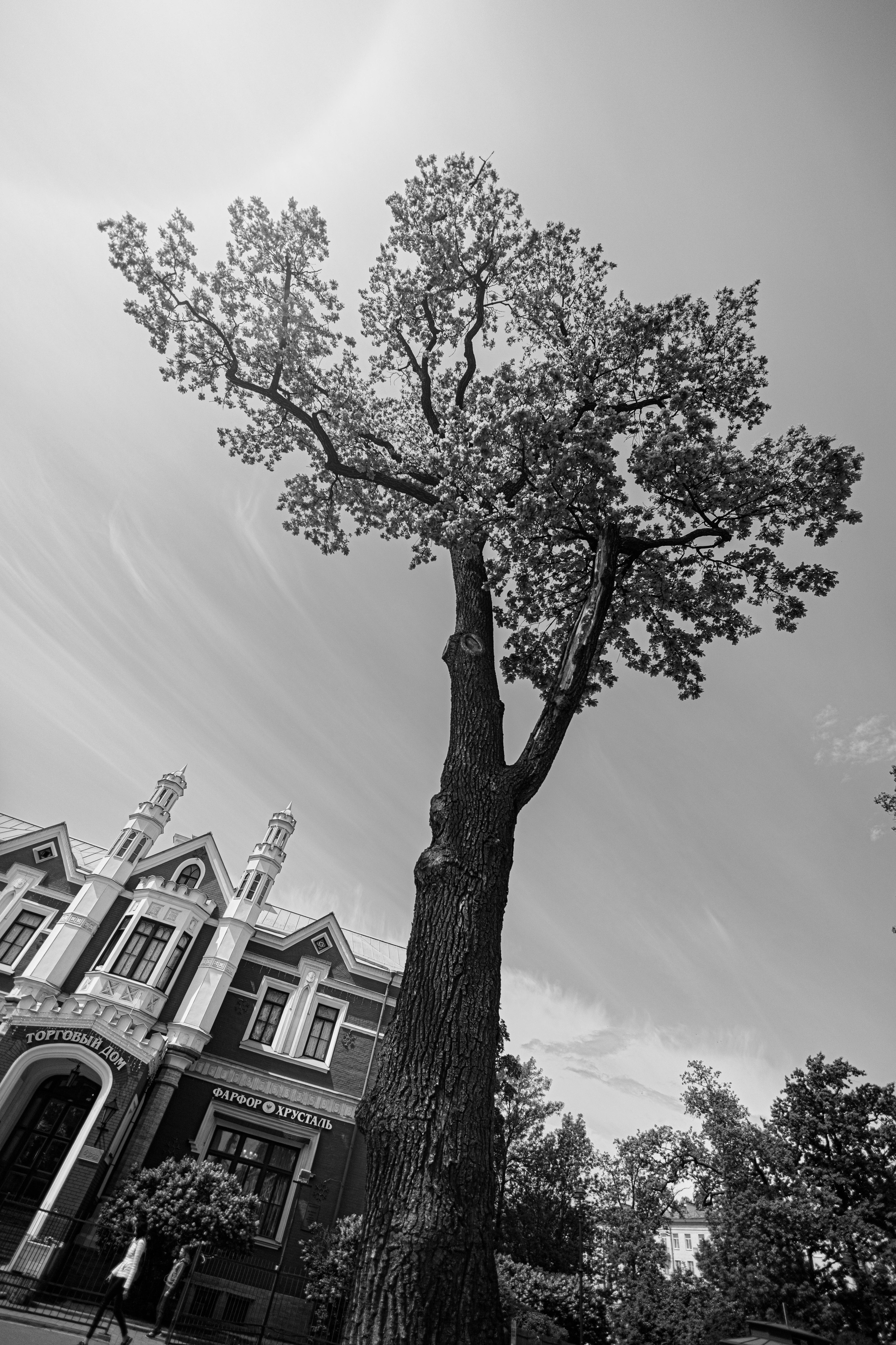 Покатушка с Let's Kick Санкт-Петербург. Городские самокаты. Фотограф Балаев Михаил