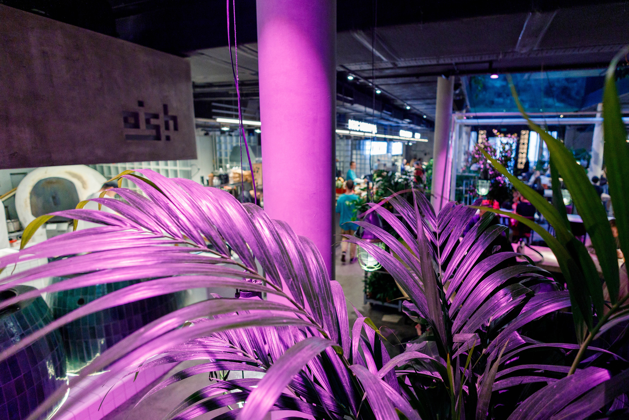 Balagan.market. Фотограф Балаев Михаил