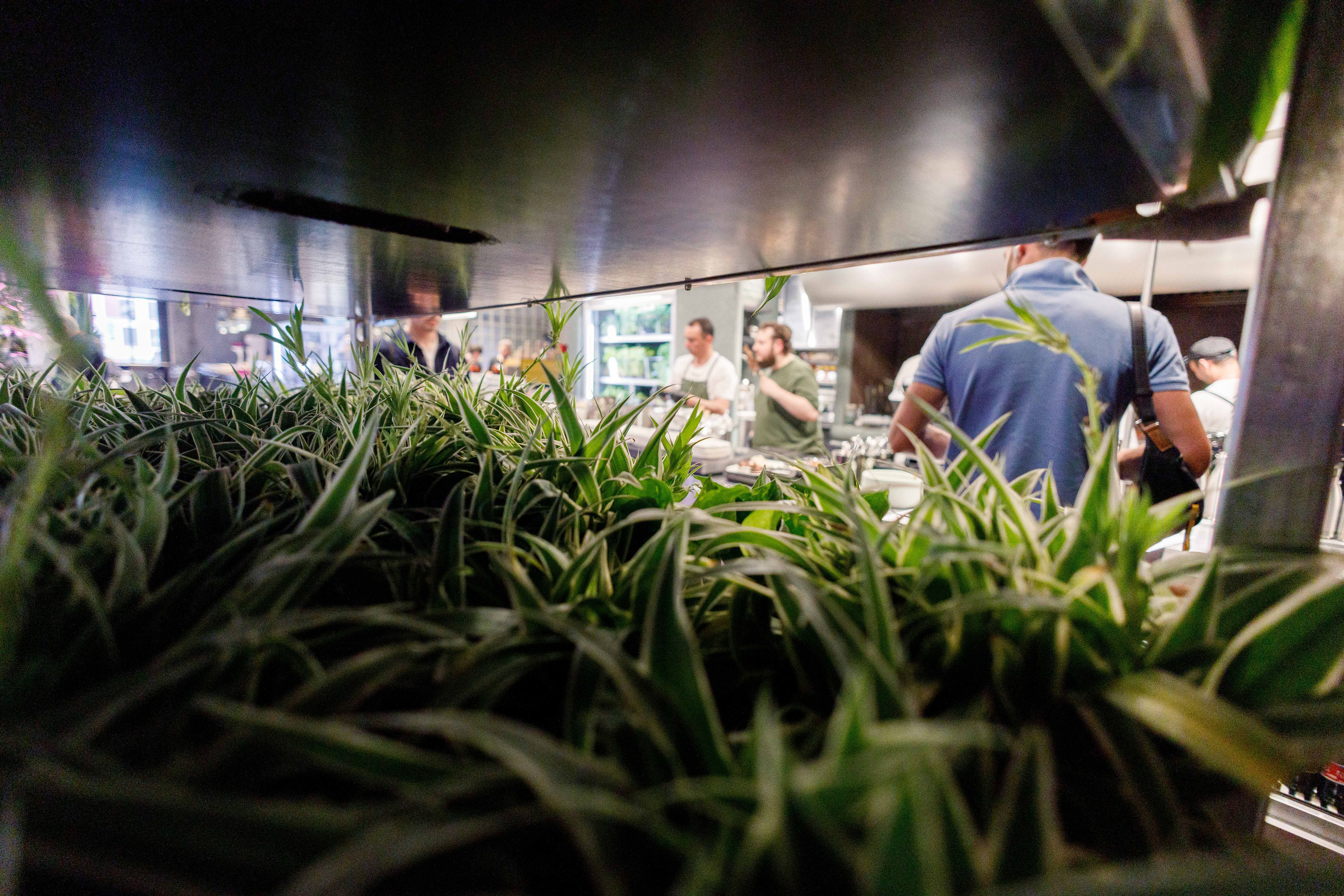 Balagan.market. Фотограф Балаев Михаил