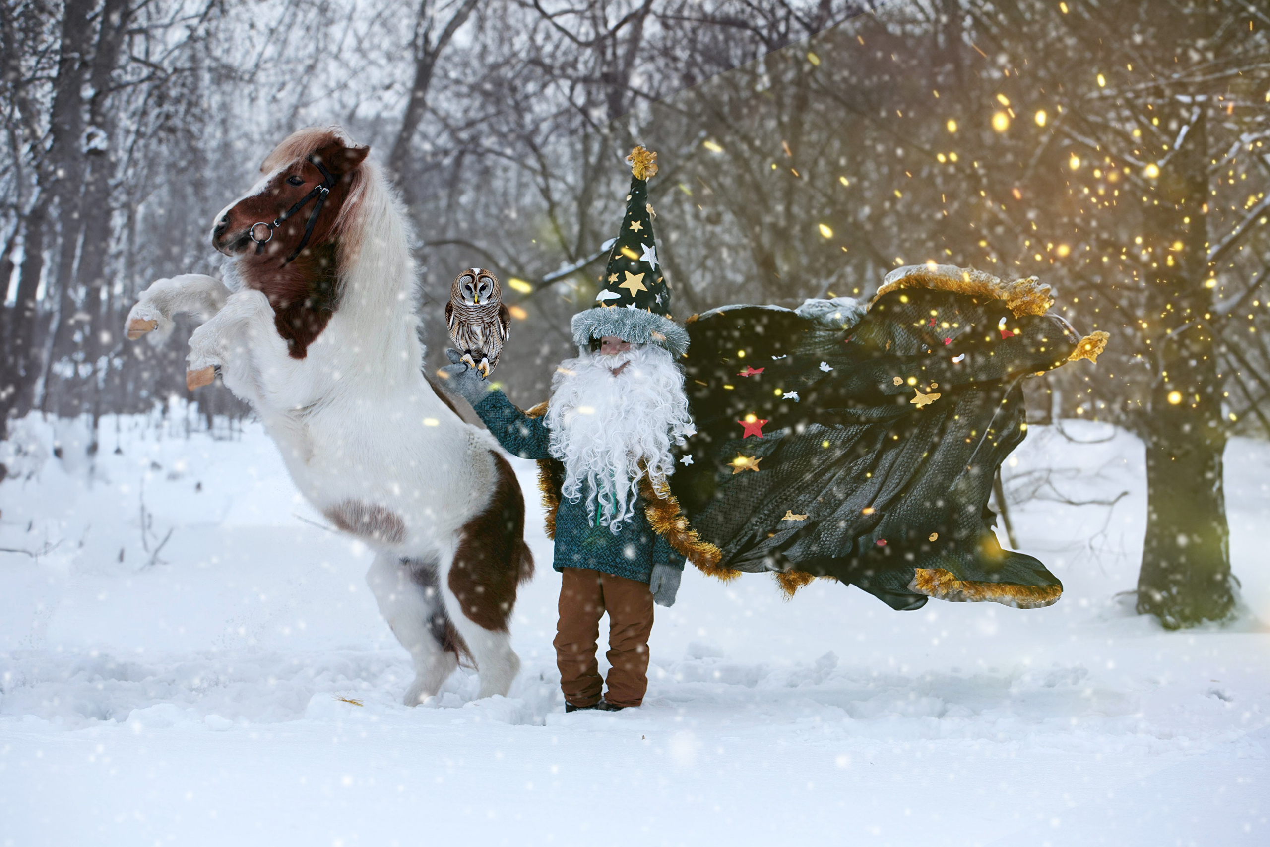 Пони и дети. Конный фотограф в Красноярске — Любовь Похабова