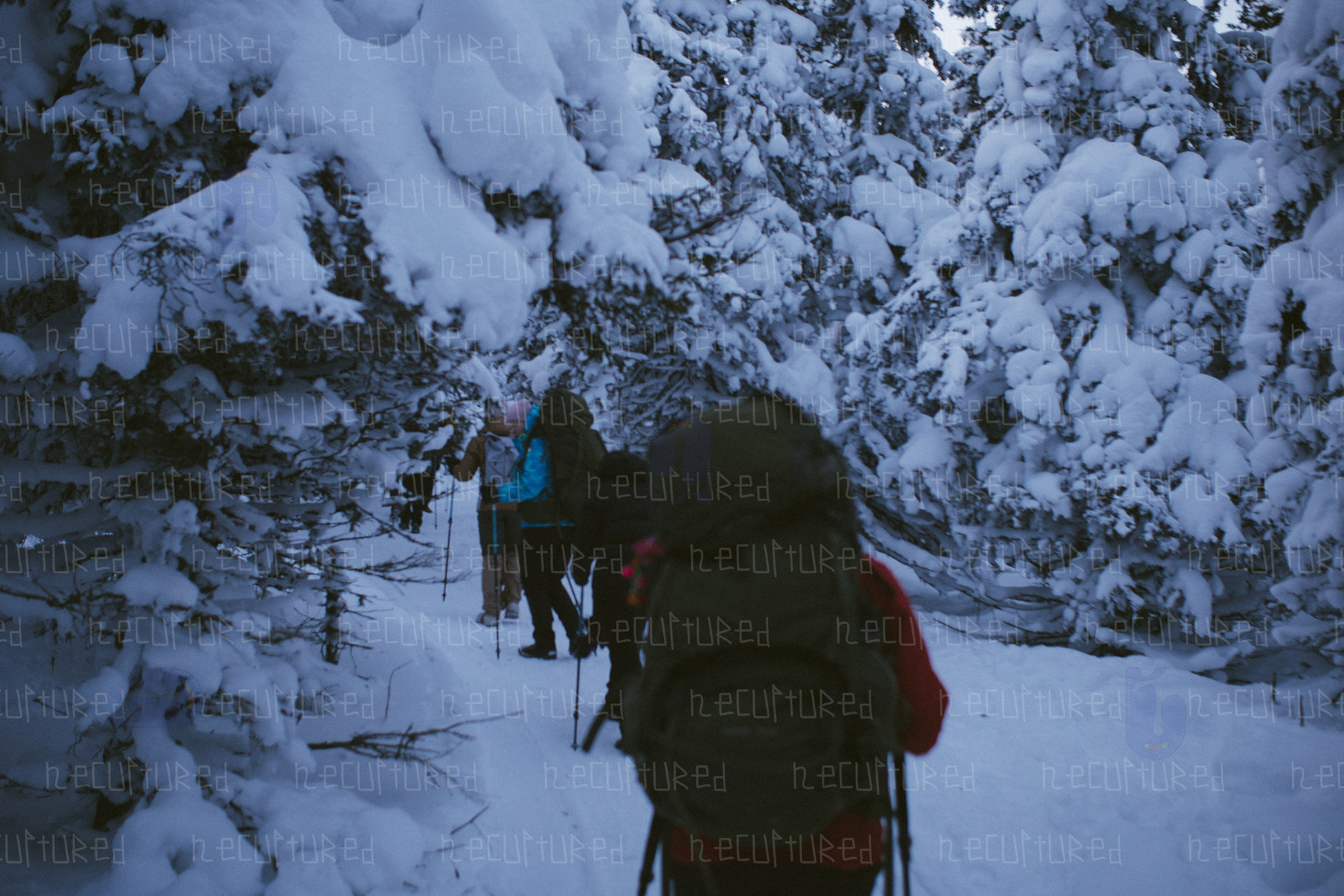 Фотосессии в путешествии. Фотограф с пленочным оттенком в Пятигорске| Necultured
