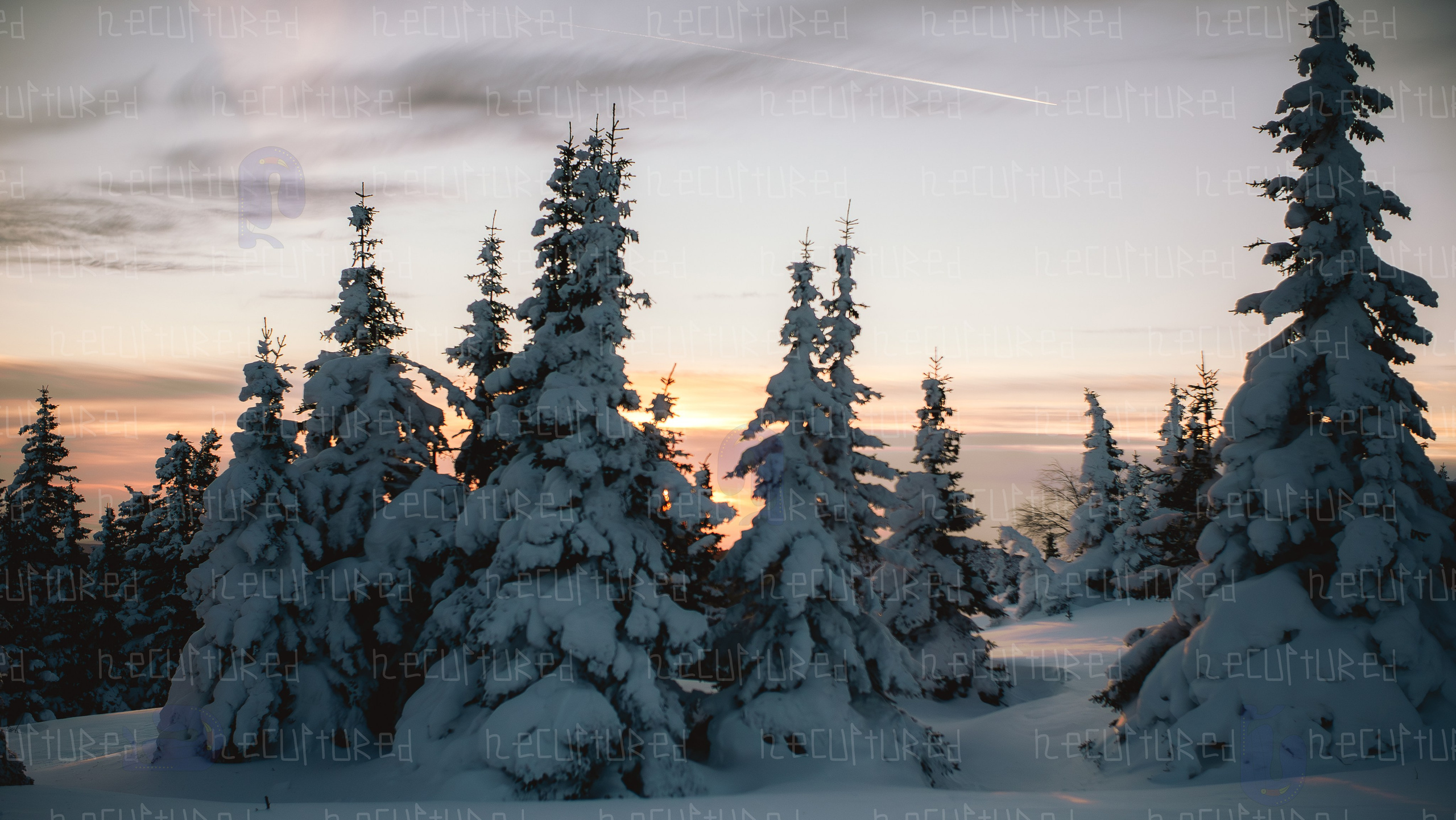 Фотосессии в путешествии. Фотограф с пленочным оттенком в Пятигорске| Necultured