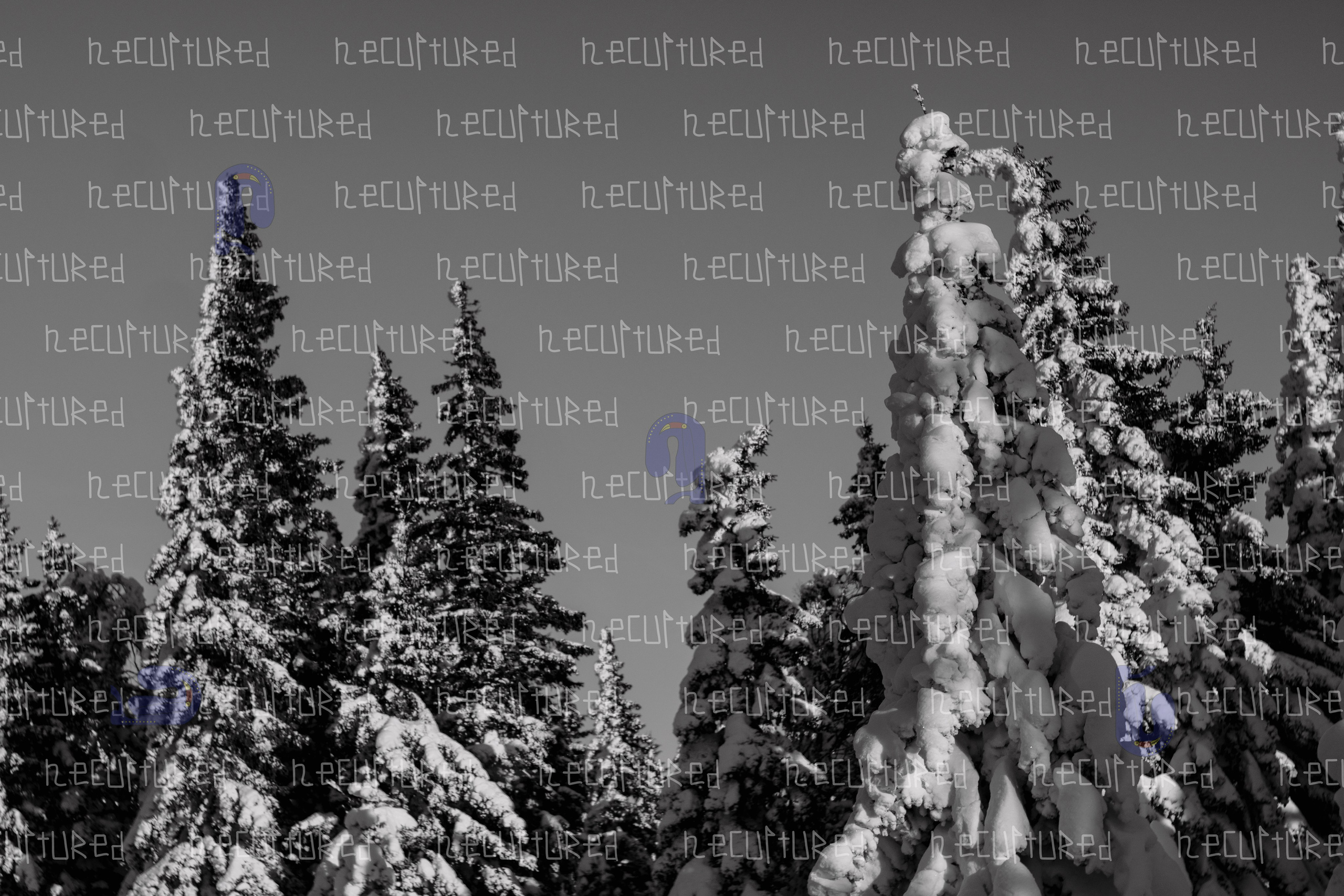 Фотосессии в путешествии. Фотограф с пленочным оттенком в Пятигорске| Necultured