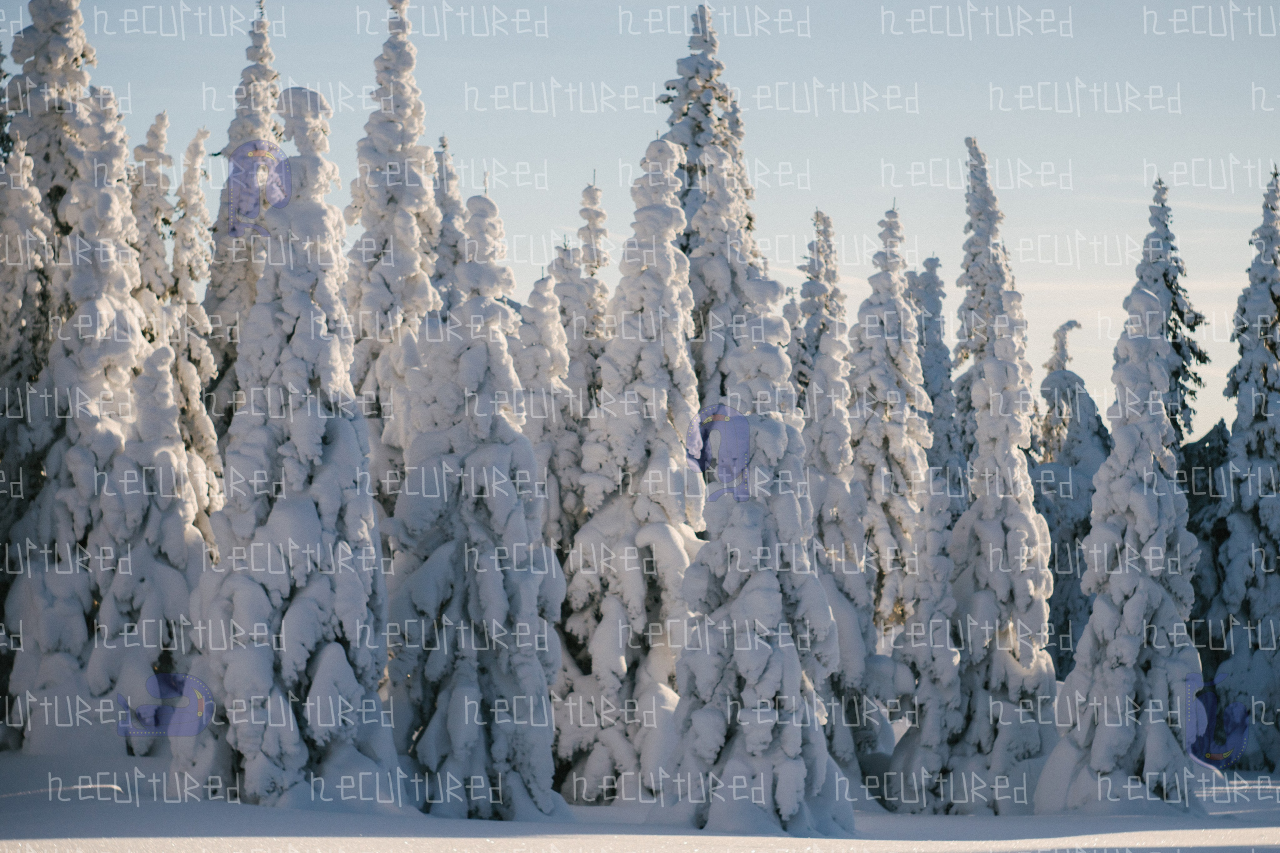 Фотосессии в путешествии. Фотограф с пленочным оттенком в Пятигорске| Necultured