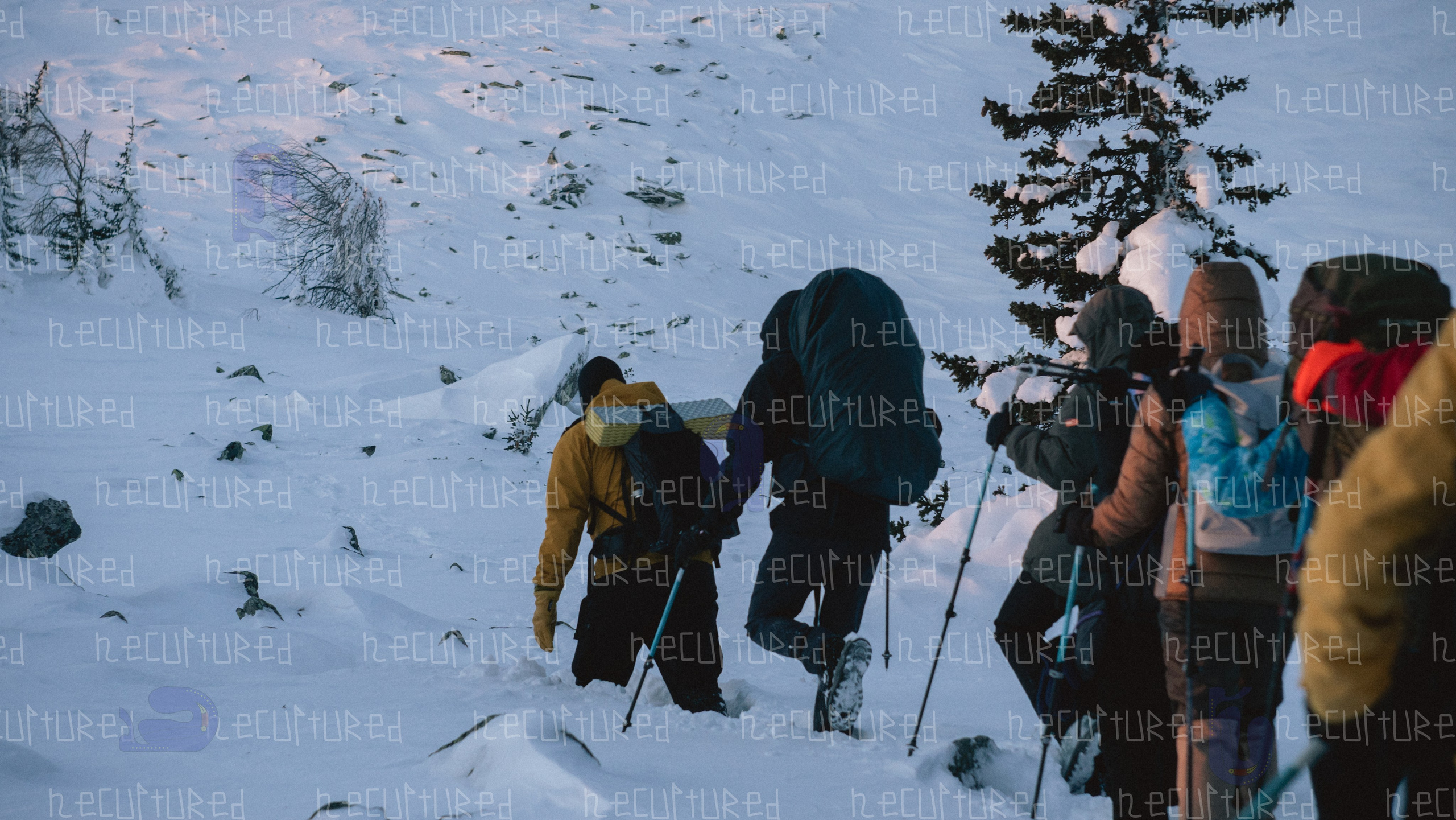 Фотосессии в путешествии. Фотограф с пленочным оттенком в Пятигорске| Necultured