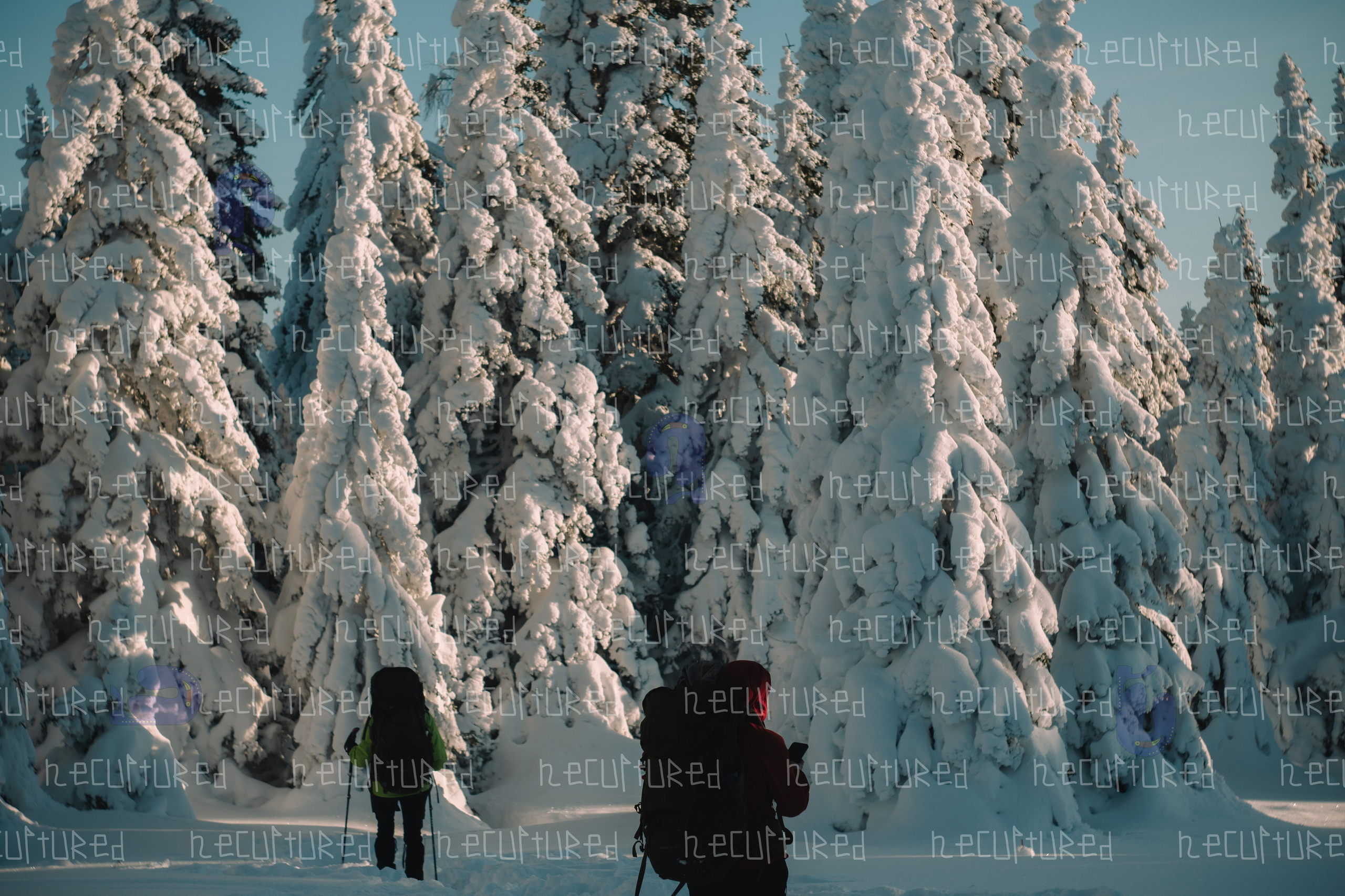 Фотосессии в путешествии. Фотограф с пленочным оттенком в Пятигорске| Necultured