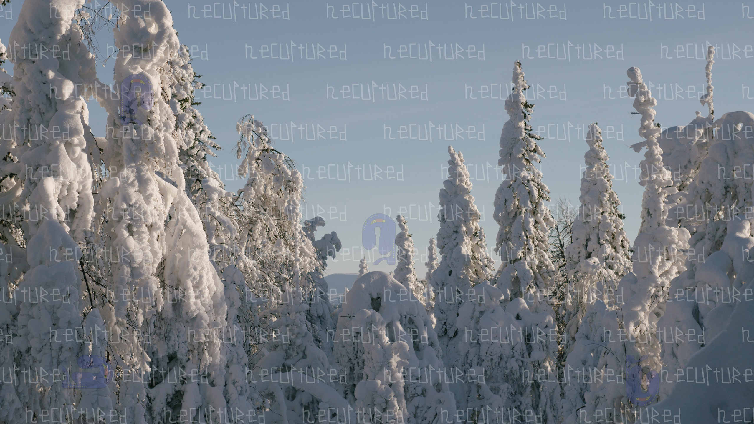 Фотосессии в путешествии. Фотограф с пленочным оттенком в Пятигорске| Necultured