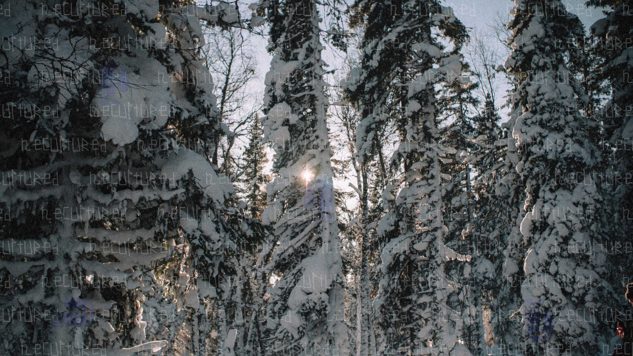 Фотосессии в путешествии. Фотограф с пленочным оттенком в Пятигорске| Necultured