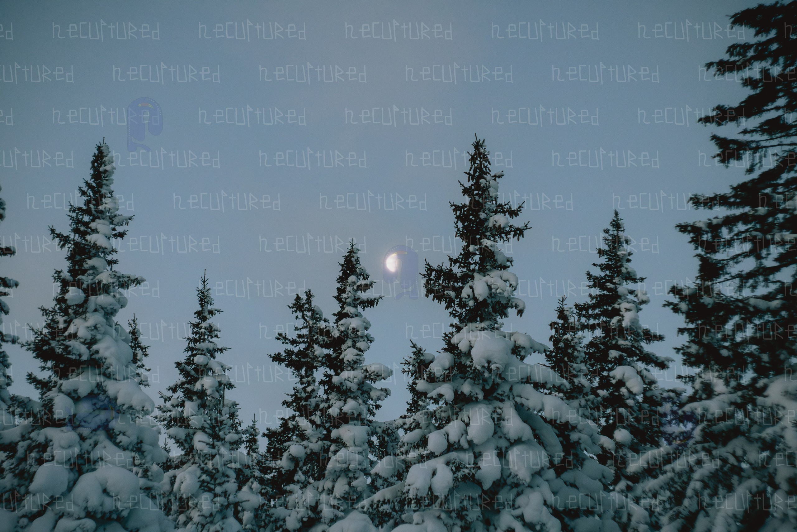 Фотосессии в путешествии. Фотограф с пленочным оттенком в Пятигорске| Necultured