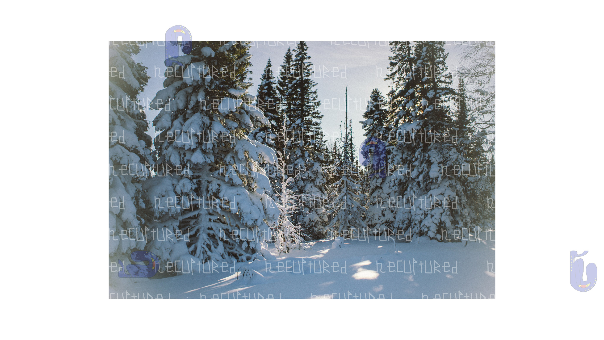 Фотосессии в путешествии. Фотограф с пленочным оттенком в Пятигорске| Necultured