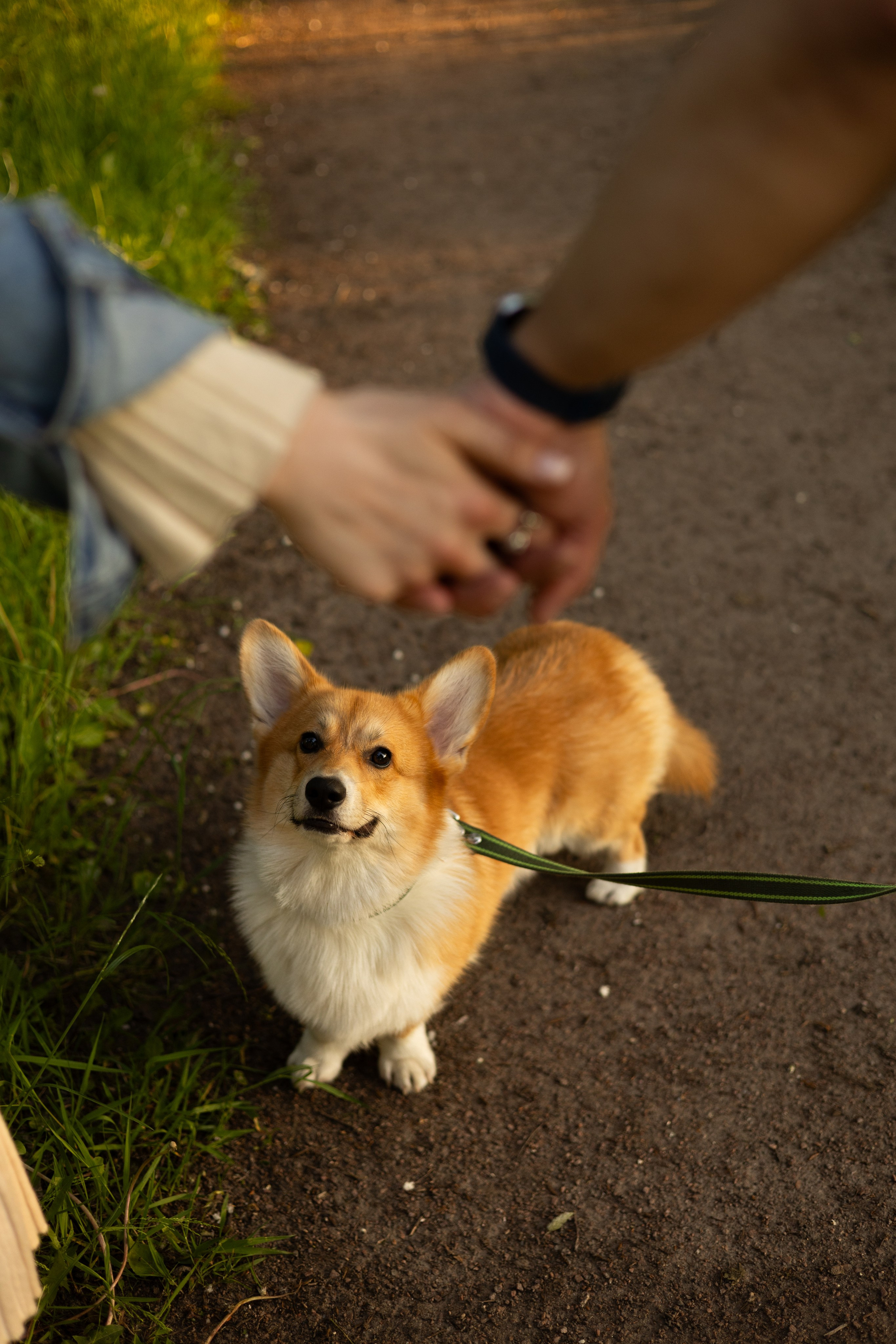 Наташа, Роман и Тео. Фотограф животных Евгения Верцинская