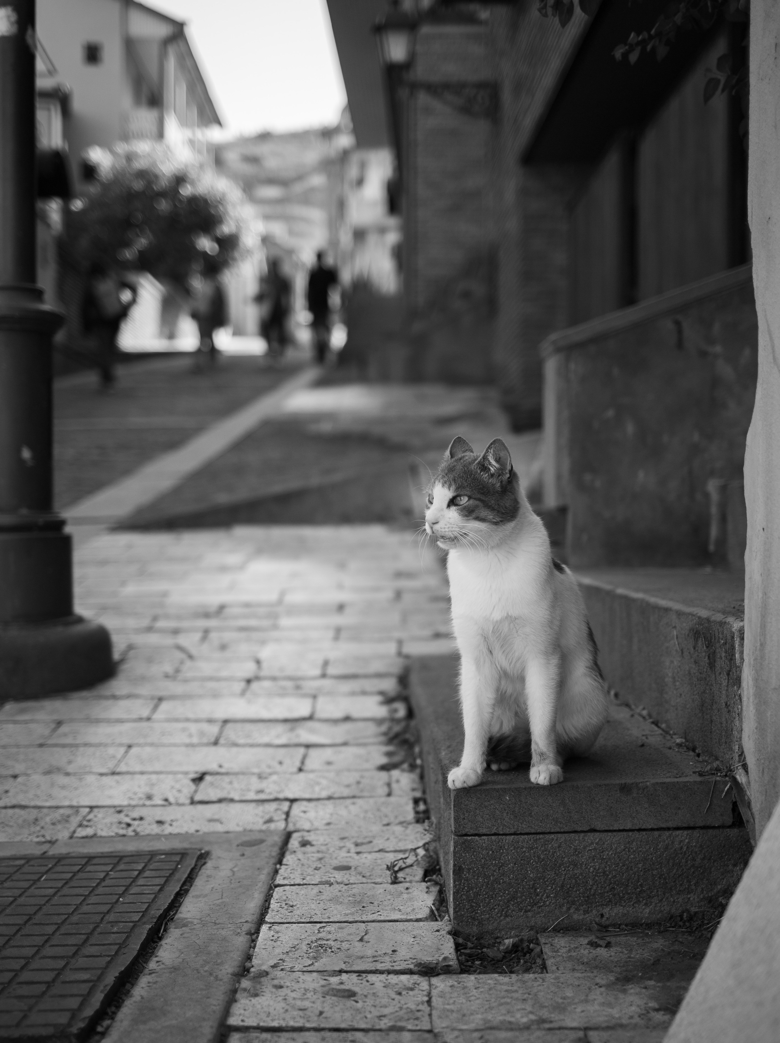 Tbilisi, Georgia. Photographer Alina Skitovich