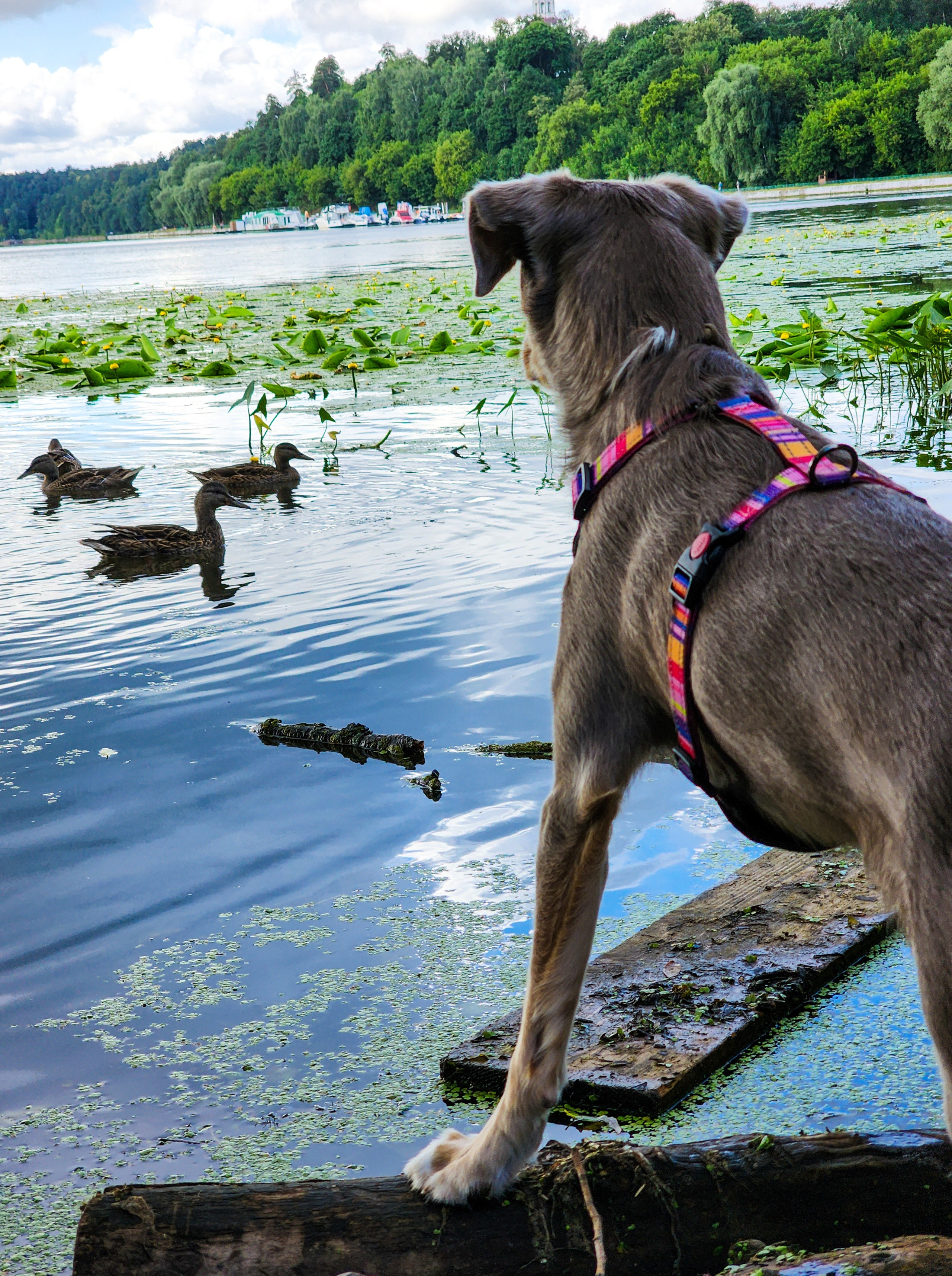 Репортажное фото фотопрогулка