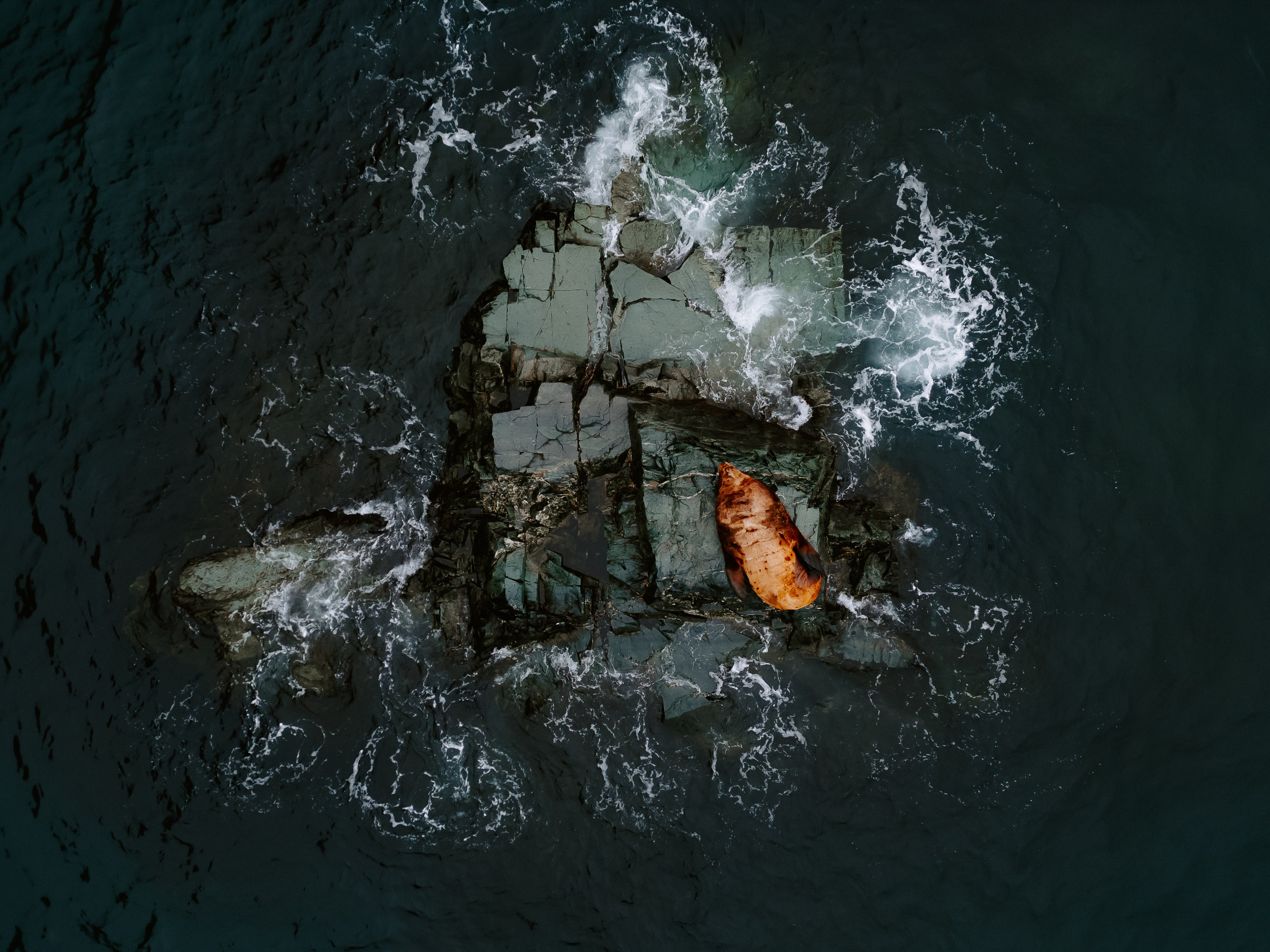 Airphoto. Николай Филиппов Event & Concert Photographer Москвf