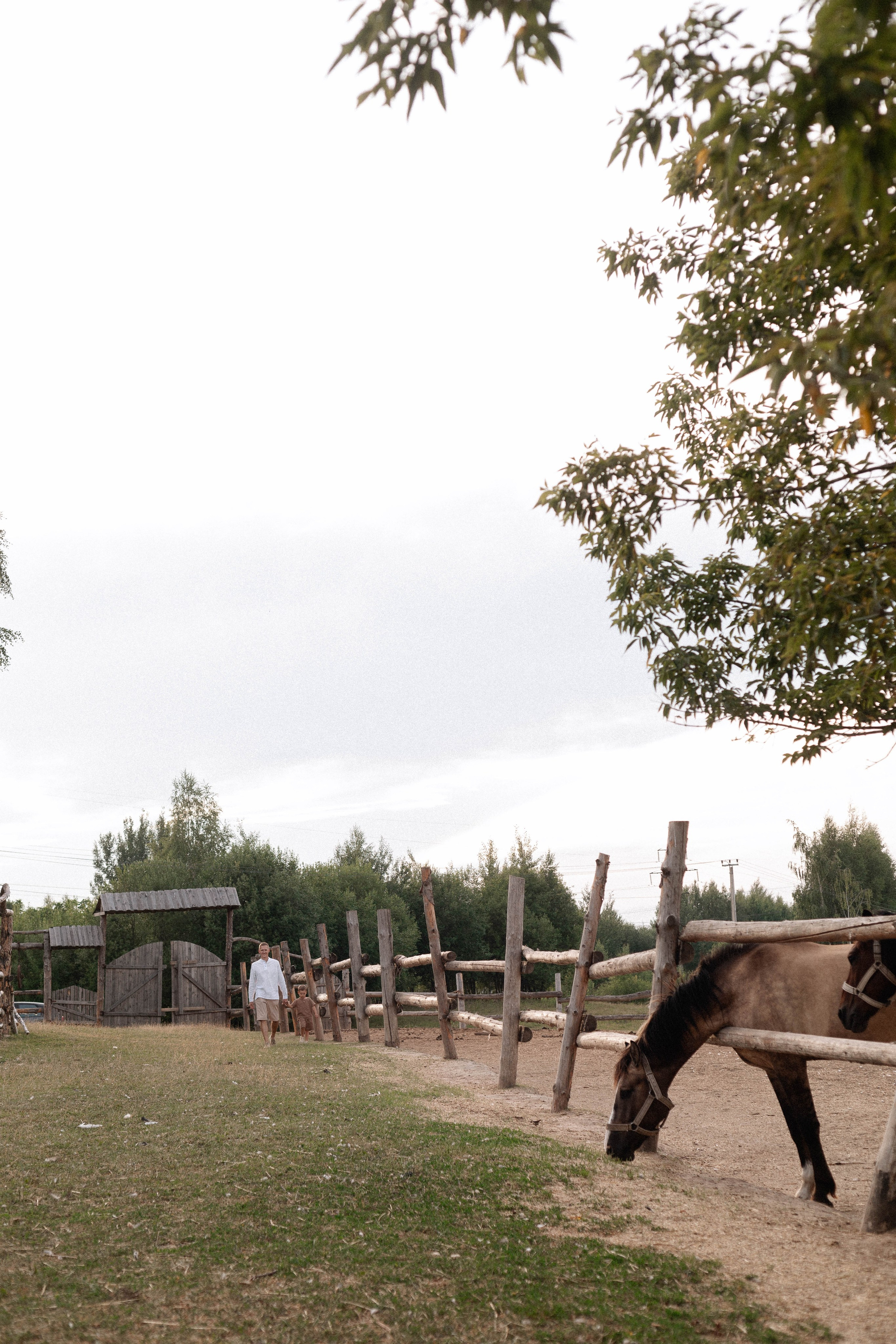 Годик Нине. Свадебный и портретный фотограф Соломко Диана