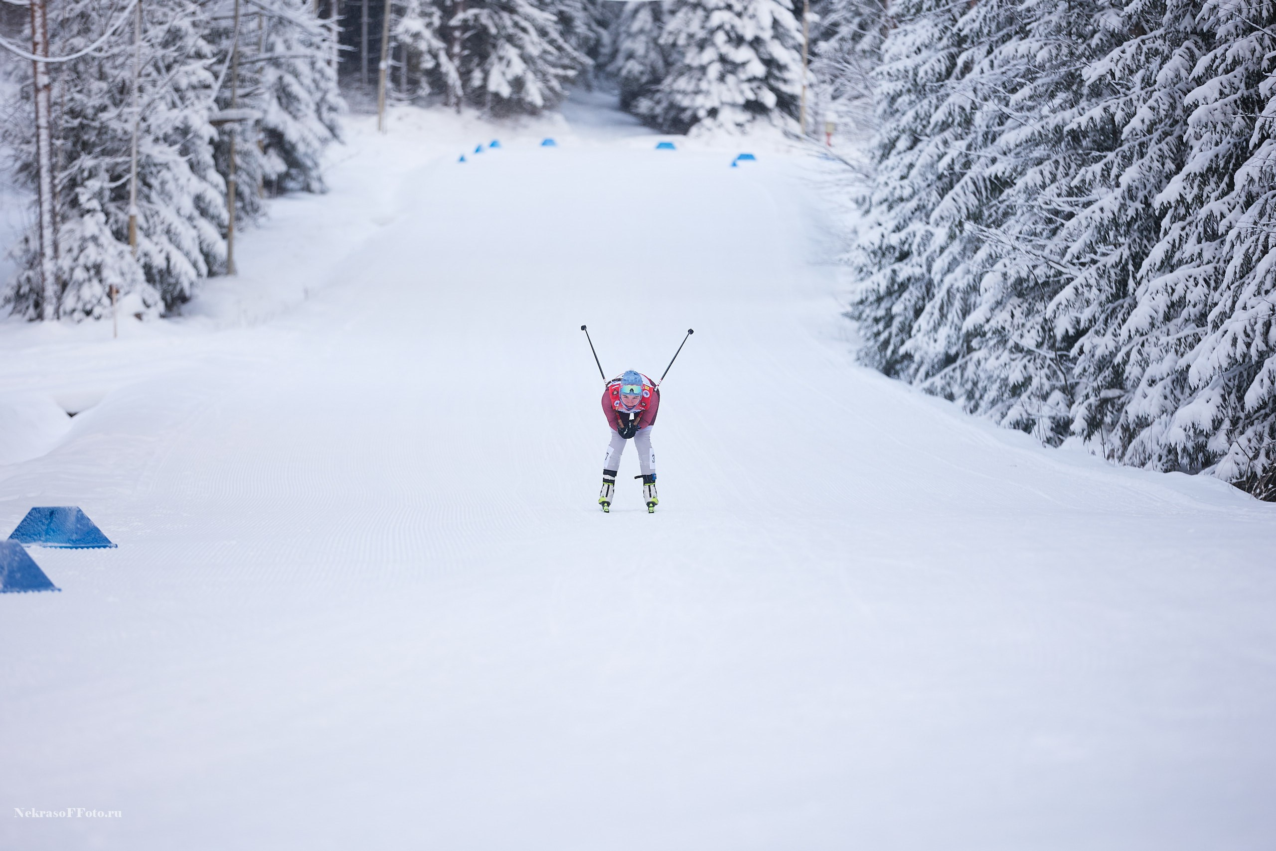 Кубок России по Лыжным гонкам. Спортивный фотограф Некрасов Денис
