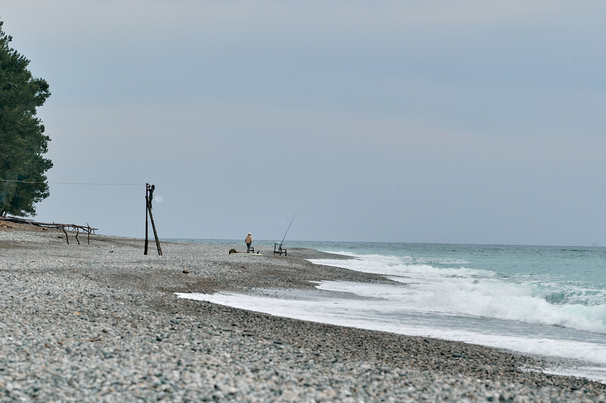 Пицунда, Абхазия. Декабрь 2024. Фотографии отовсюду и обо всем