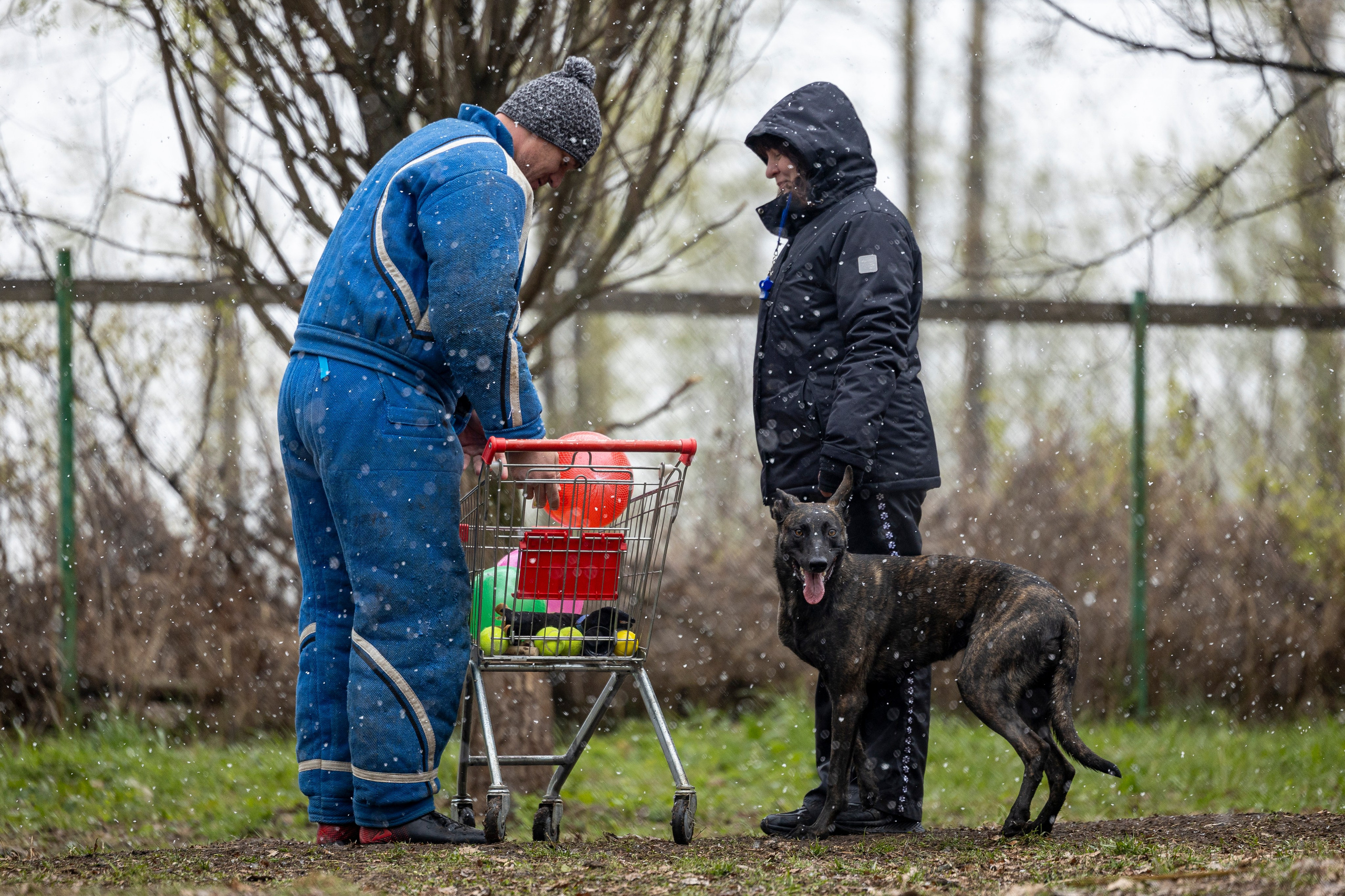 Квалификационные состязания по мондьорингу г. Вологда 11.05.24. Фотограф-анималист Анна Маринич