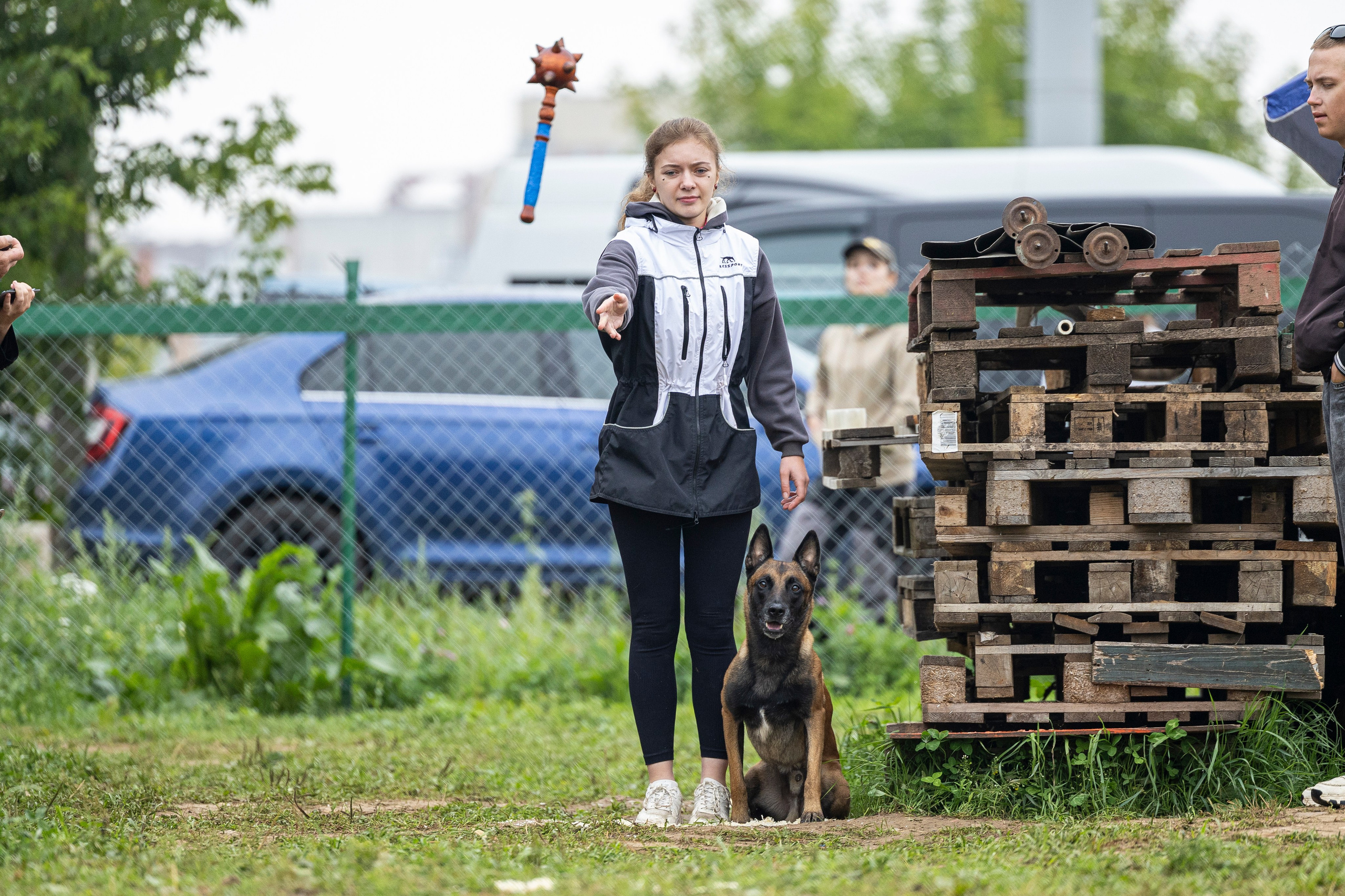 Соревнования по Мондьорингу г. Вологда 10-11.08.2024. Фотограф-анималист Анна Маринич