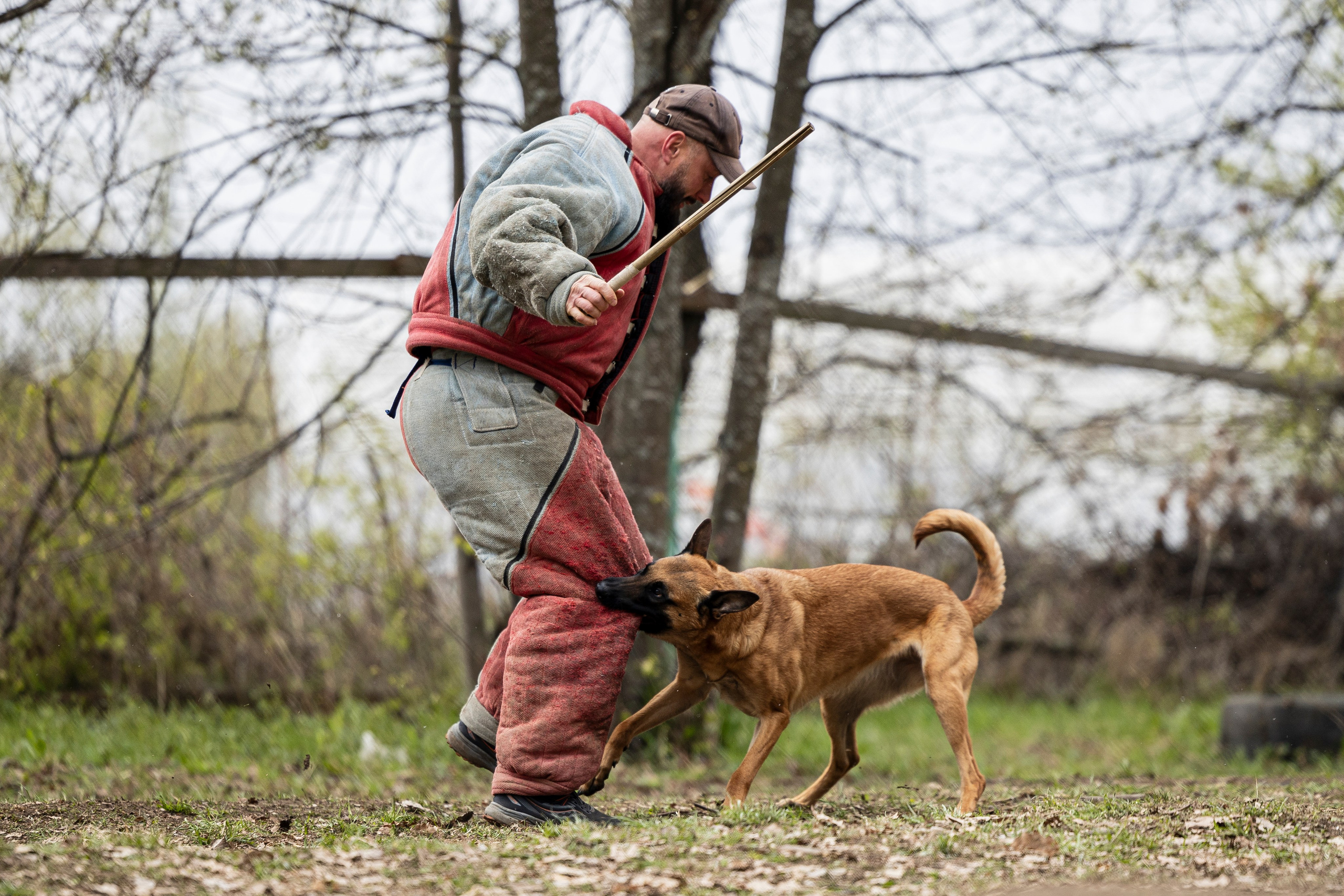 Квалификационные состязания по мондьорингу г. Вологда 11.05.24. Фотограф-анималист Анна Маринич