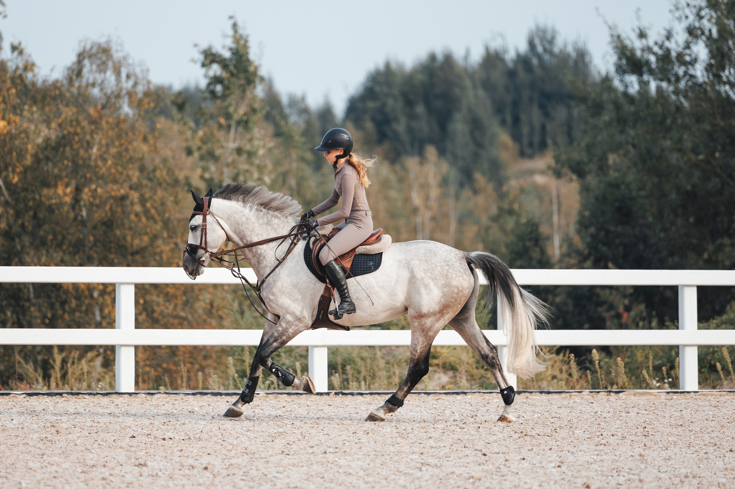 Конкур. Фотограф-анималист Анна Маринич