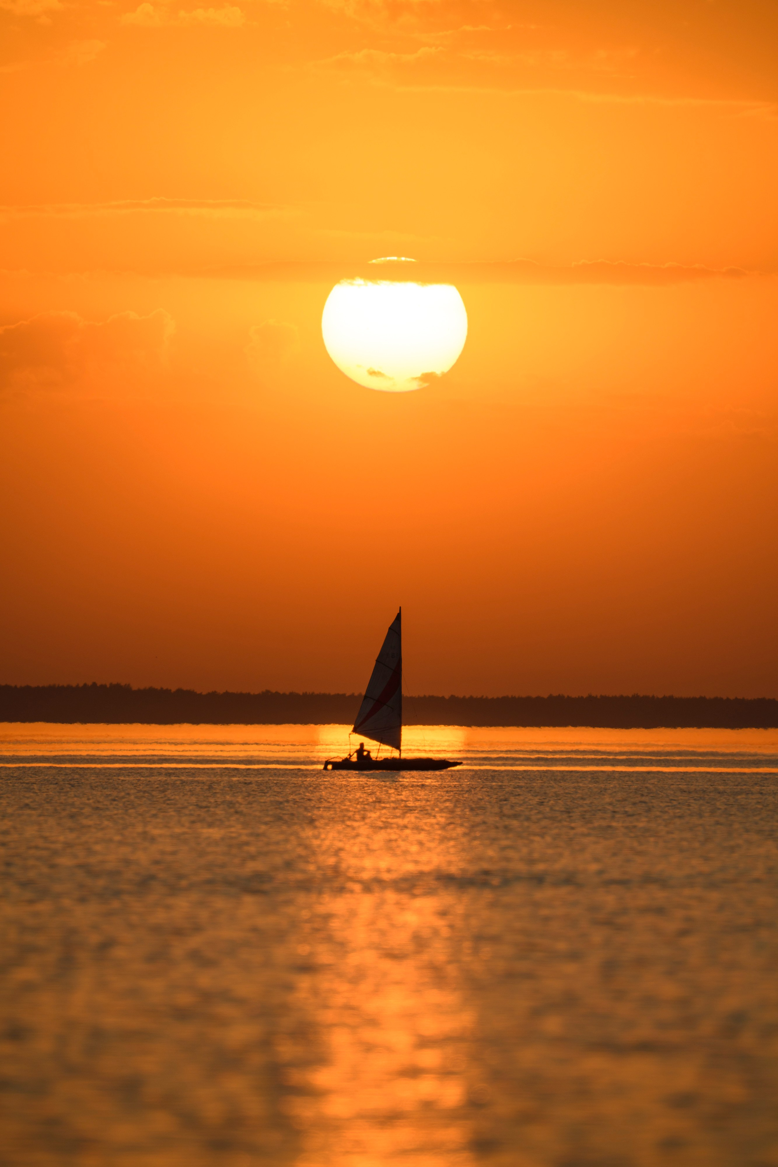 Переславль-Залесский. Wildlife photography by Sergey Puponin