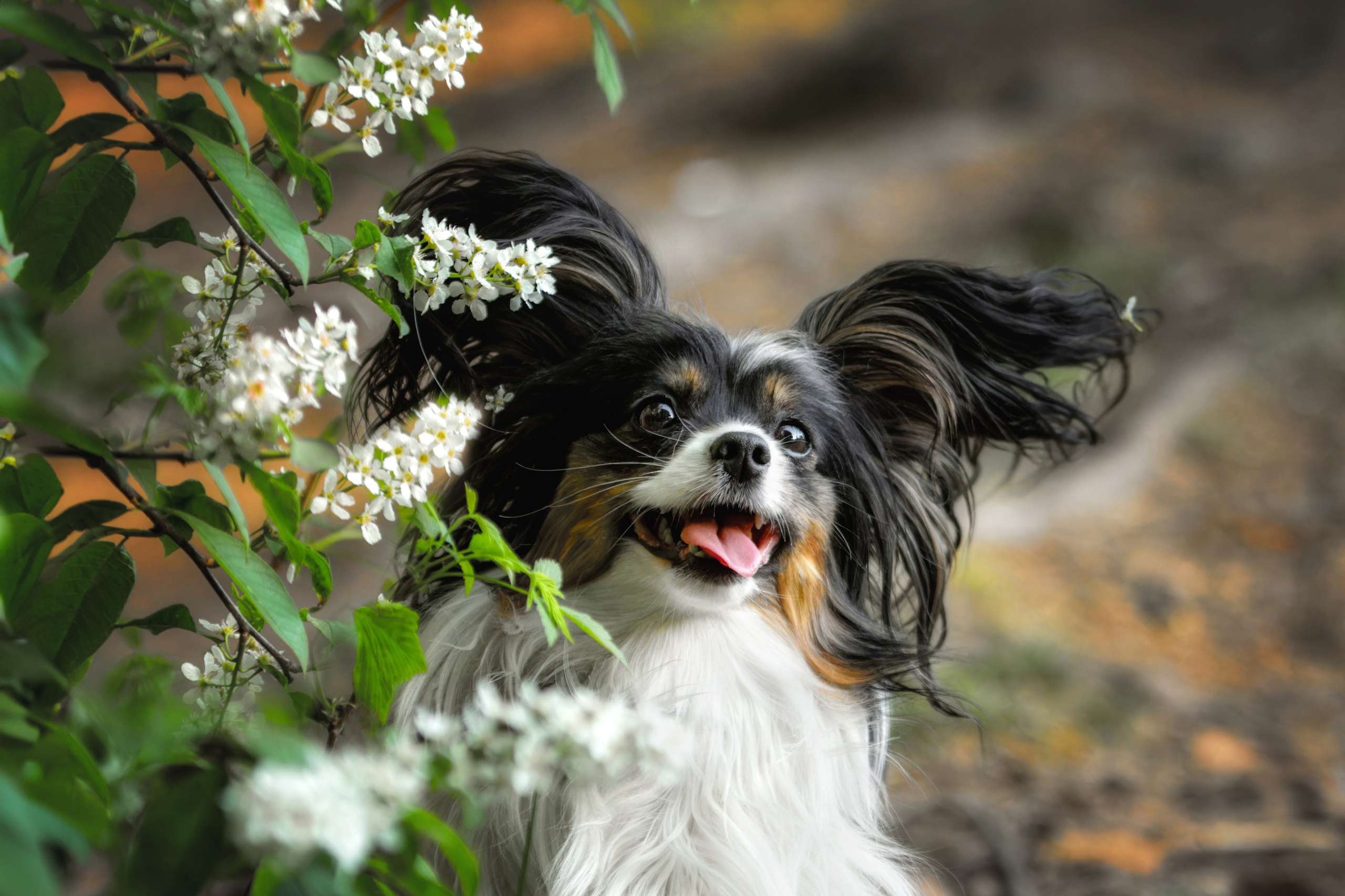 Фотограф-анималист Юлия Зубкова