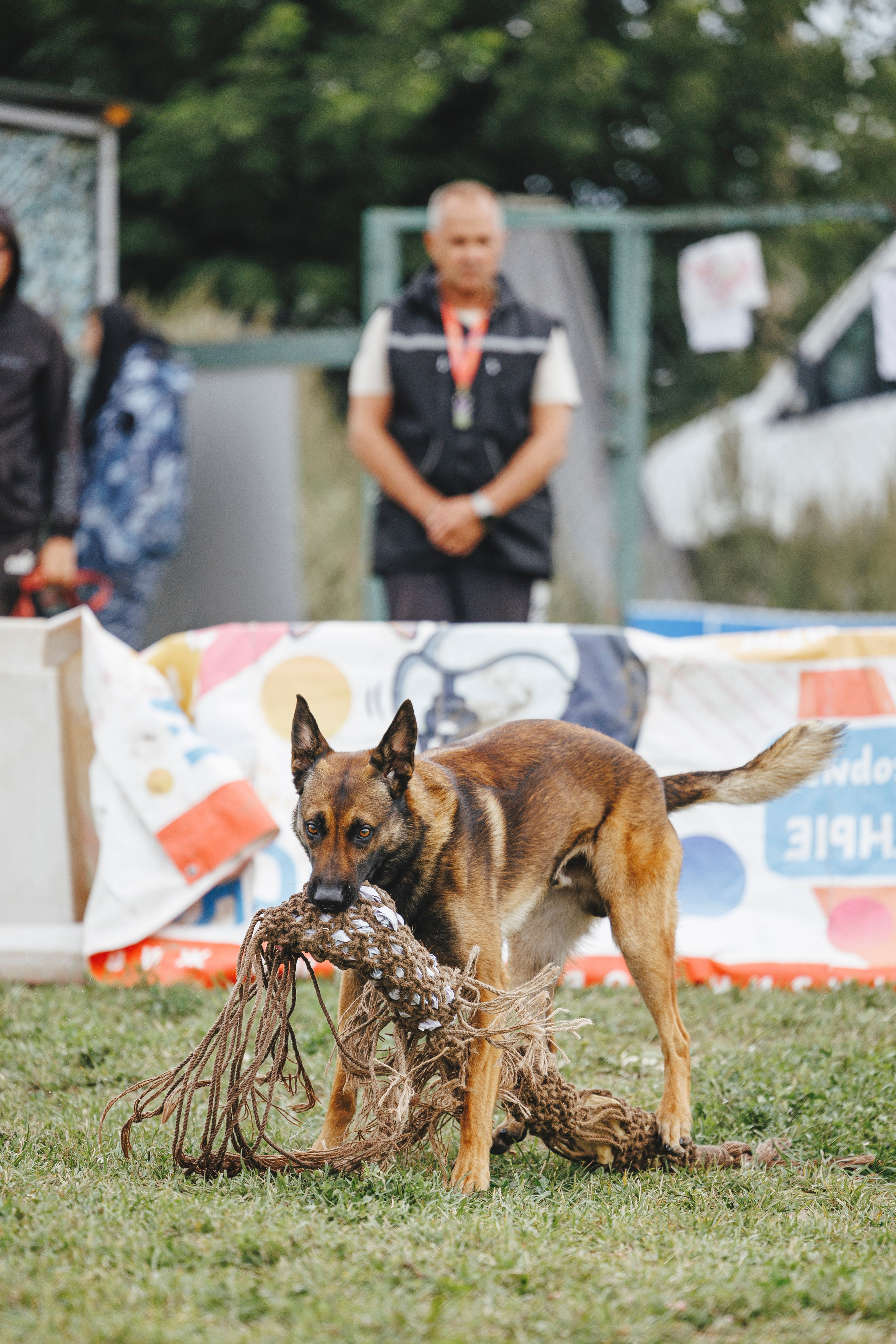 08.08.25-10.08.25 ЧР по мондьорингу г. Вологда. Фотограф-анималист Анна Маринич