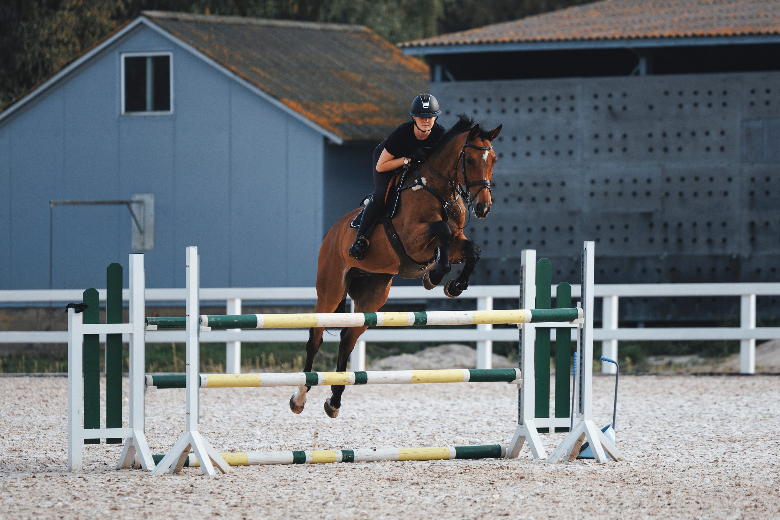 Конкур. Фотограф-анималист Анна Маринич