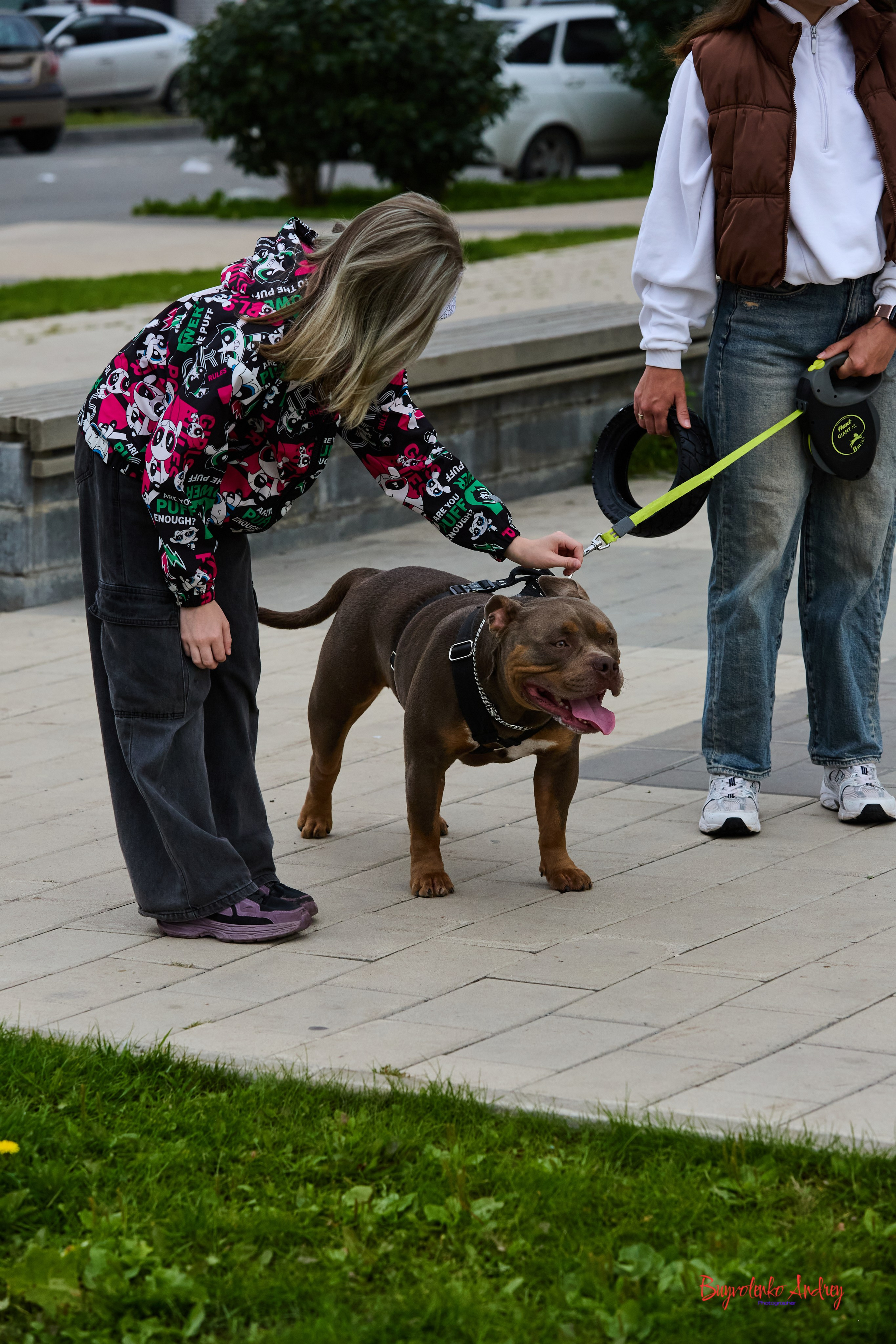 Проект фотопрогулка с хвостиком. Buyvolenko Andrey