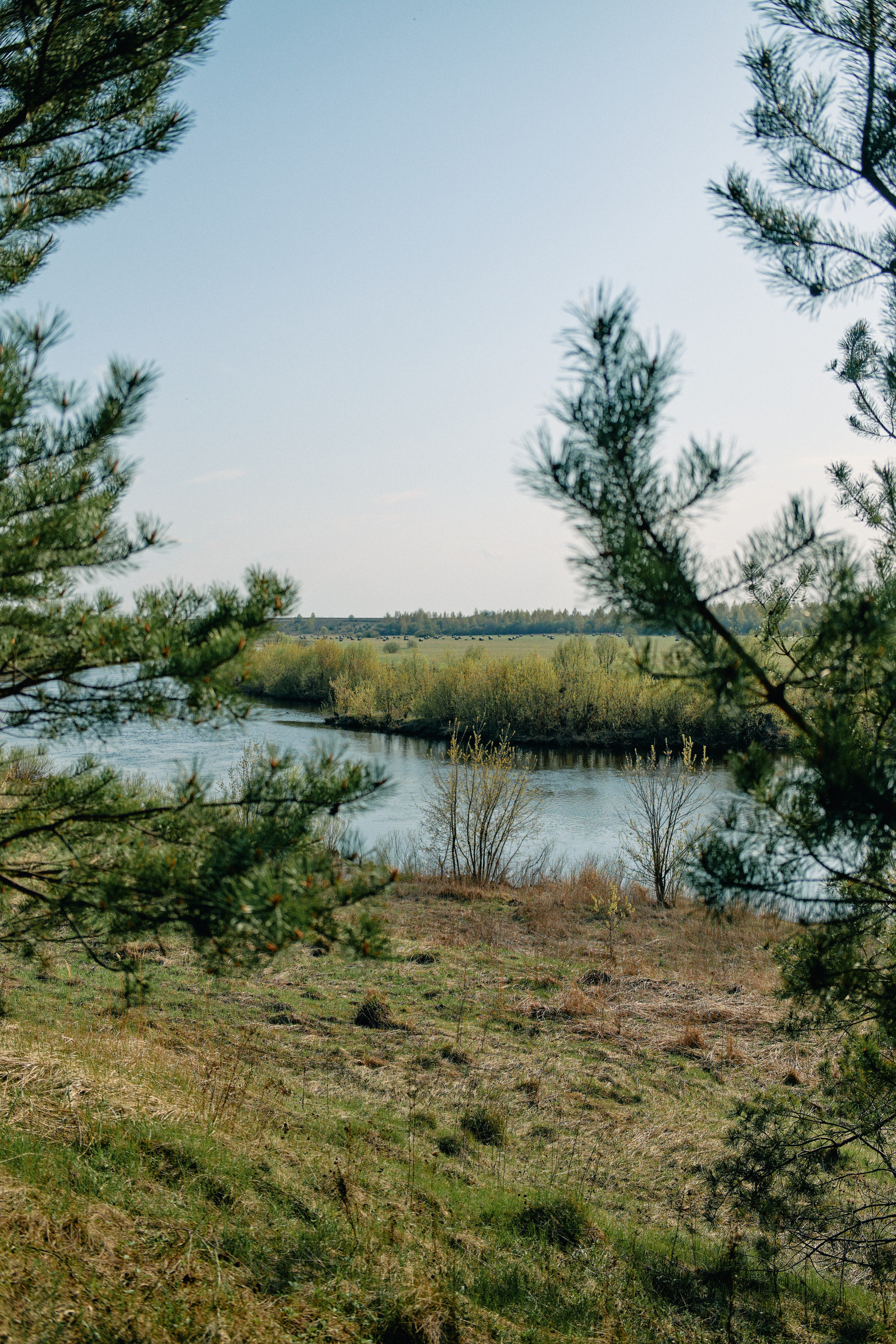 Бутик-отель Поле летом. Профессиональный Фотограф во Владимире, в Москве и в Суздале — Полина Романычева