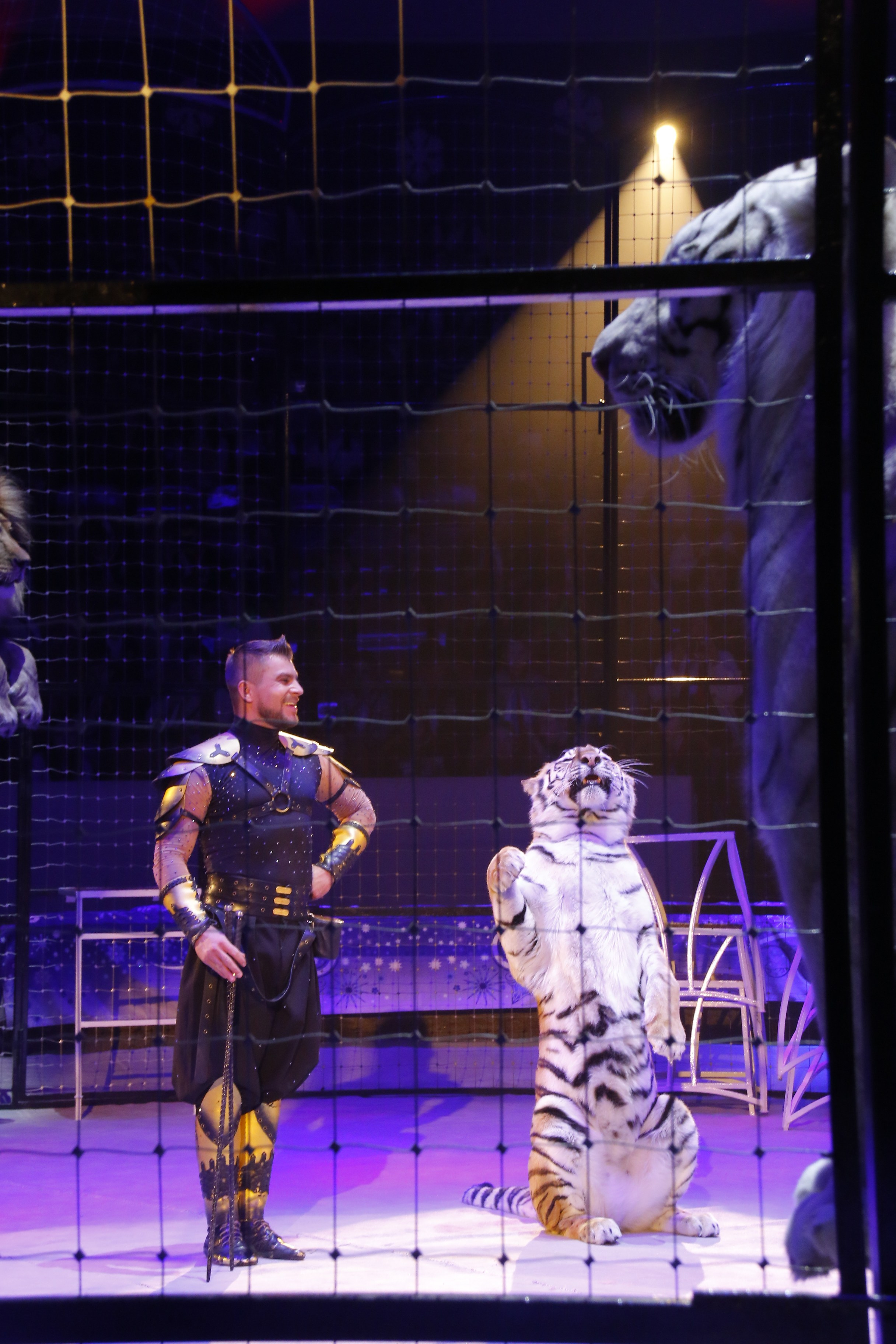 Концерты, спектакли. Репортажный фотограф Анастасия Богданова из Тюмени