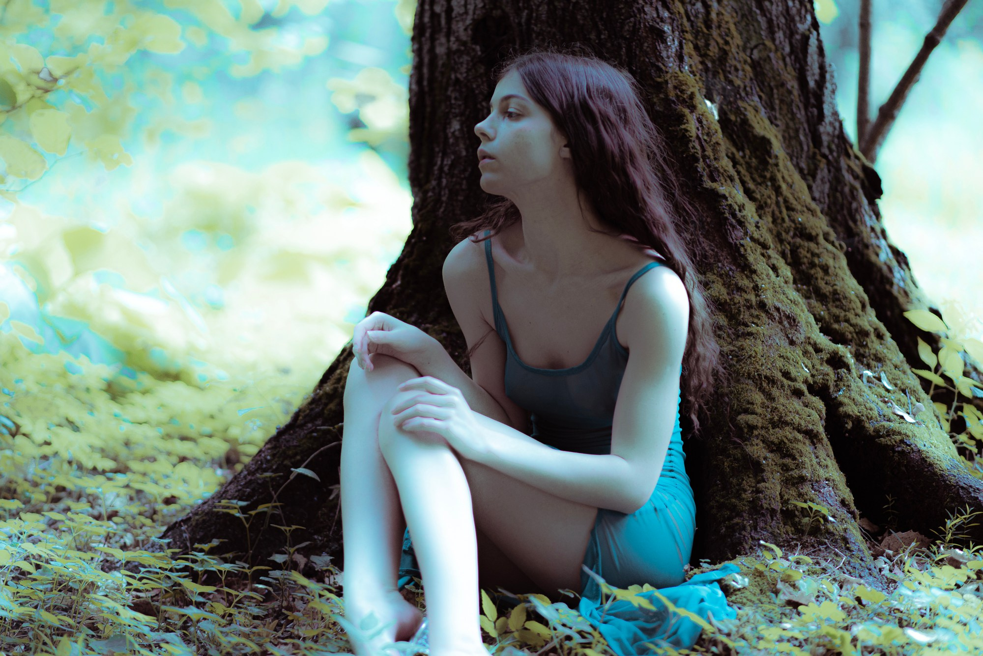 утонченная девушка фея в лесу у массивного дерева