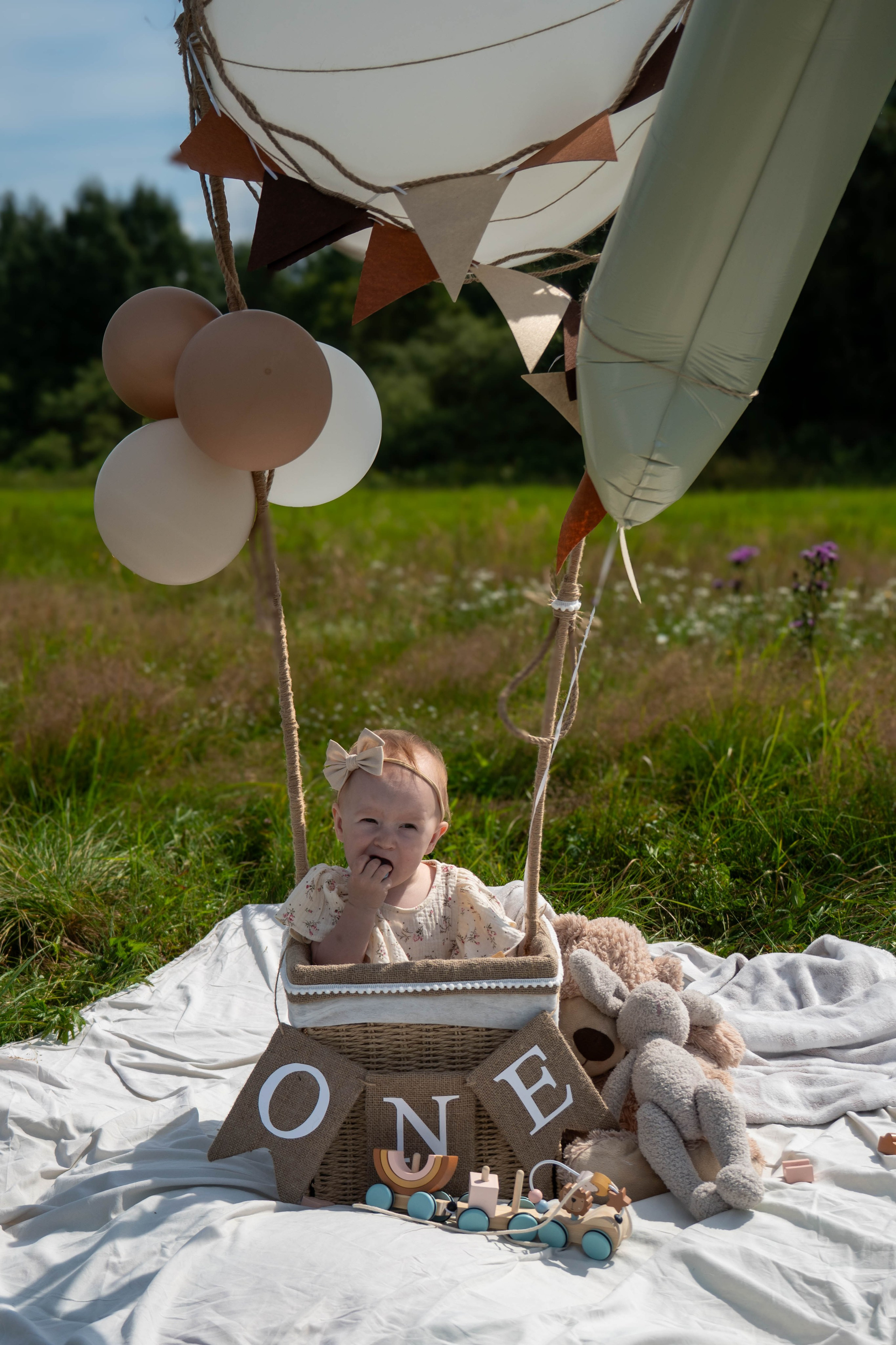 На воздушном шаре. Фотограф Санкт-Петербург