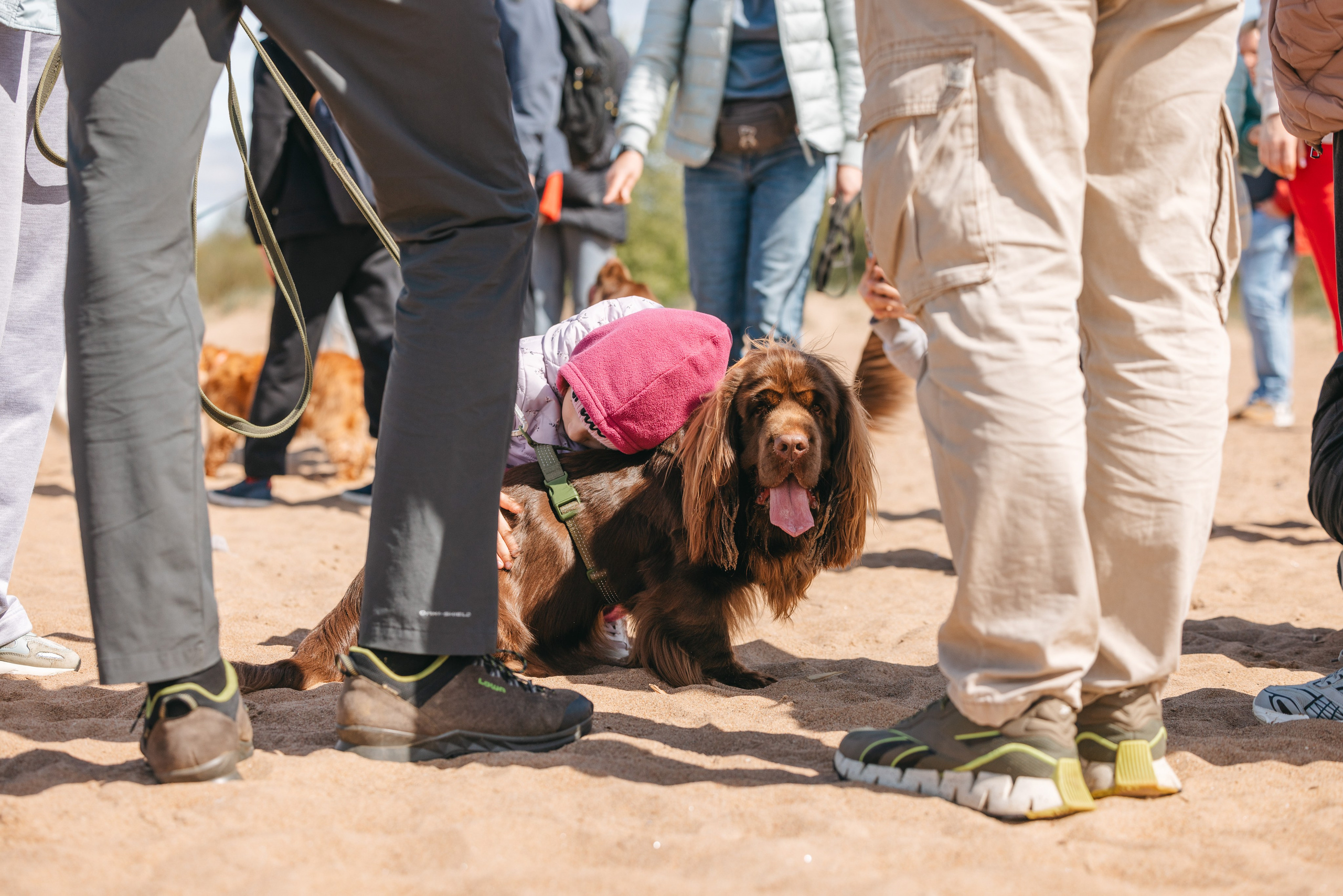 Спанимания. Фотограф анималист Осипчикова Мария