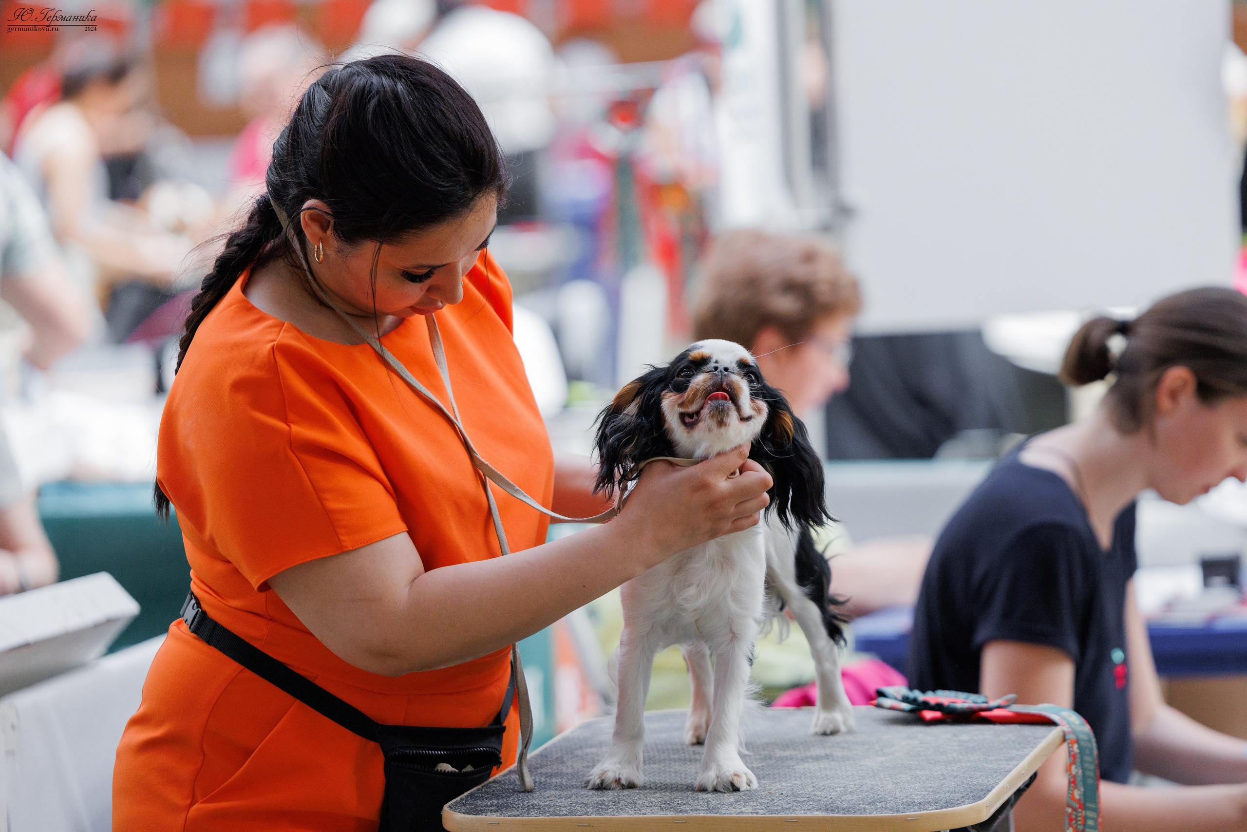 РОССИЯ 8-9.06.2024. Фотограф-анималист Юлия Германика