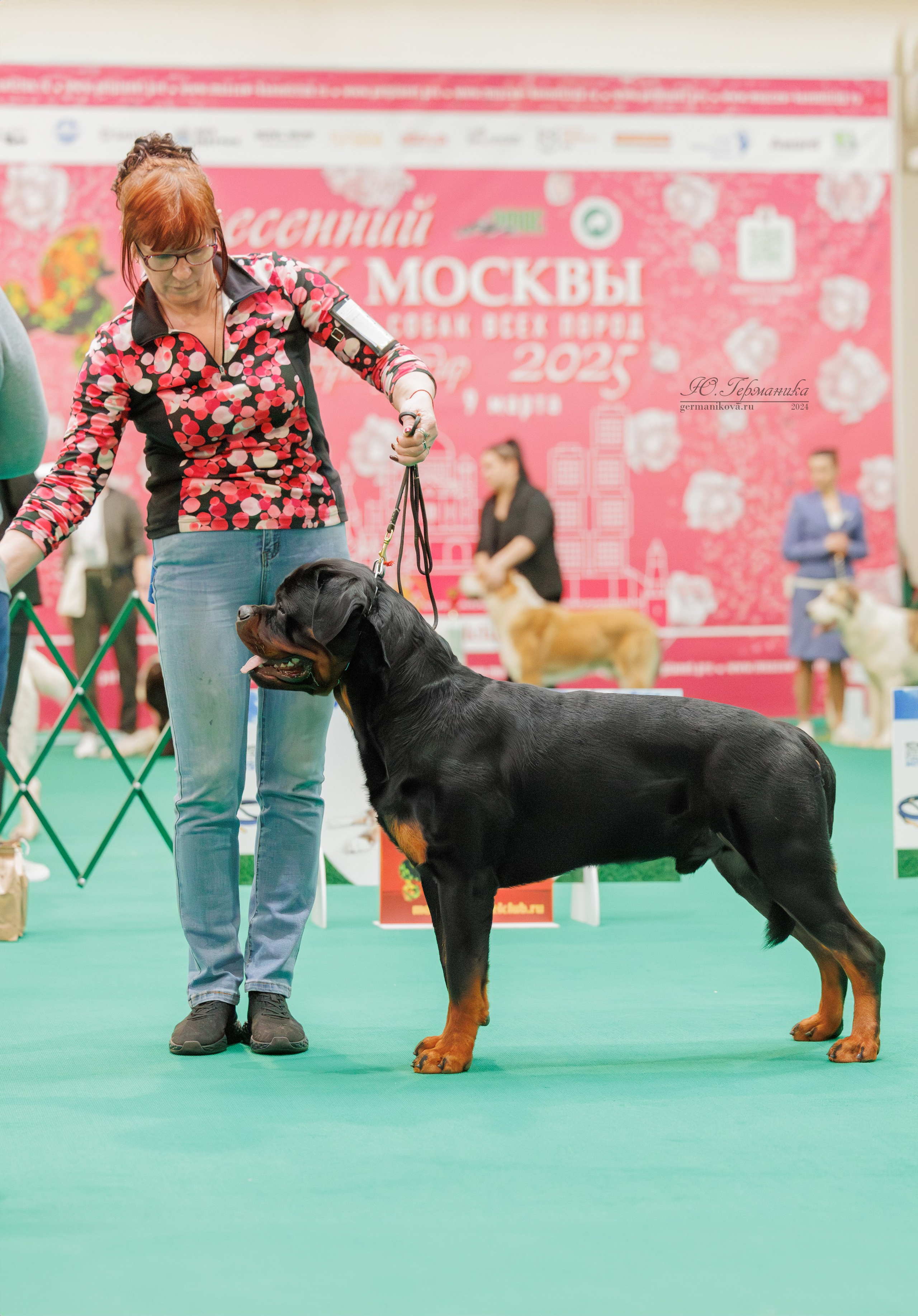 Сфера и Крокус 8,9,16 и 30.03.2025. Фотограф-анималист Юлия Германика