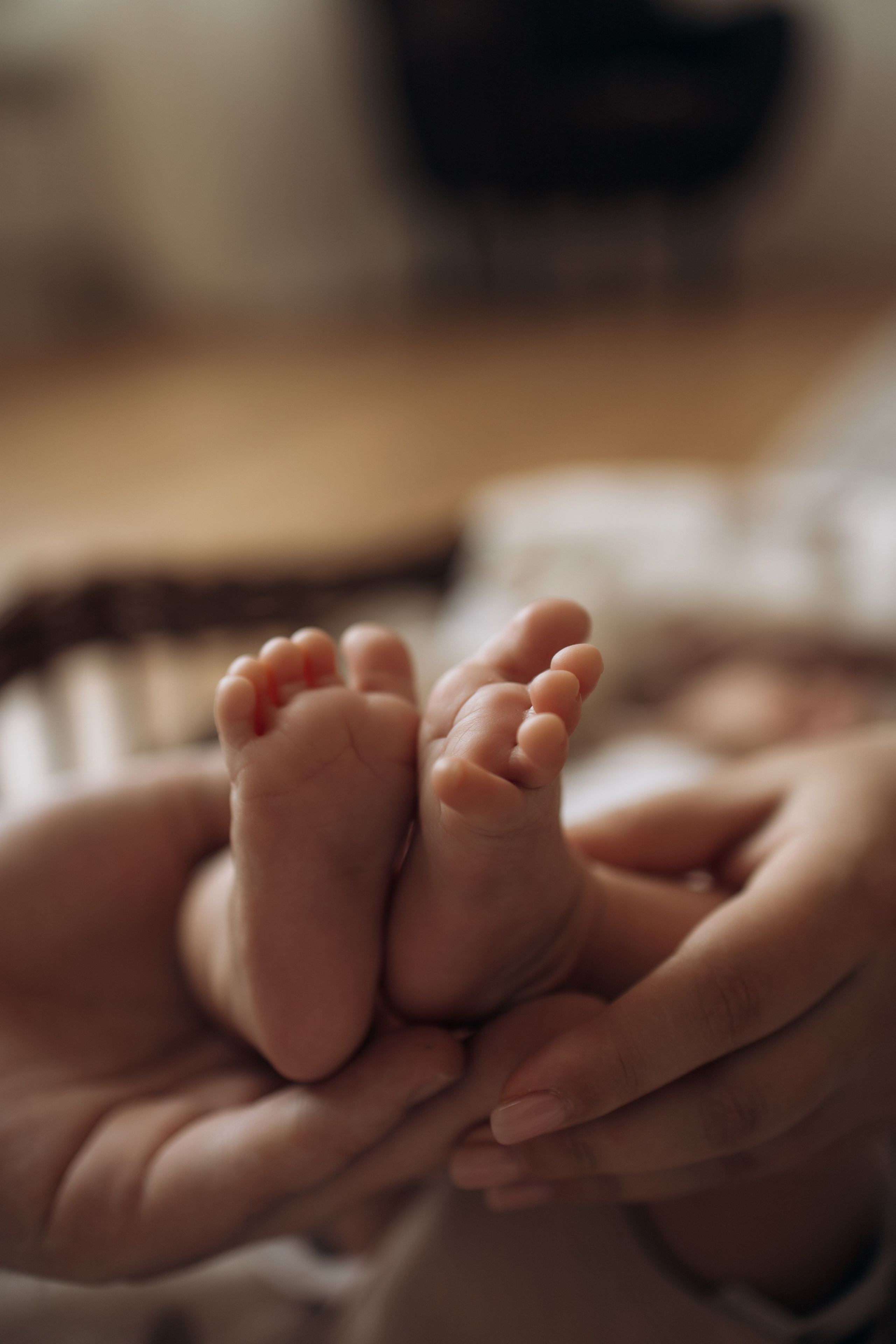 Семейная София. Самый теплый фотограф в Краснодаре Рябоконь Ксения