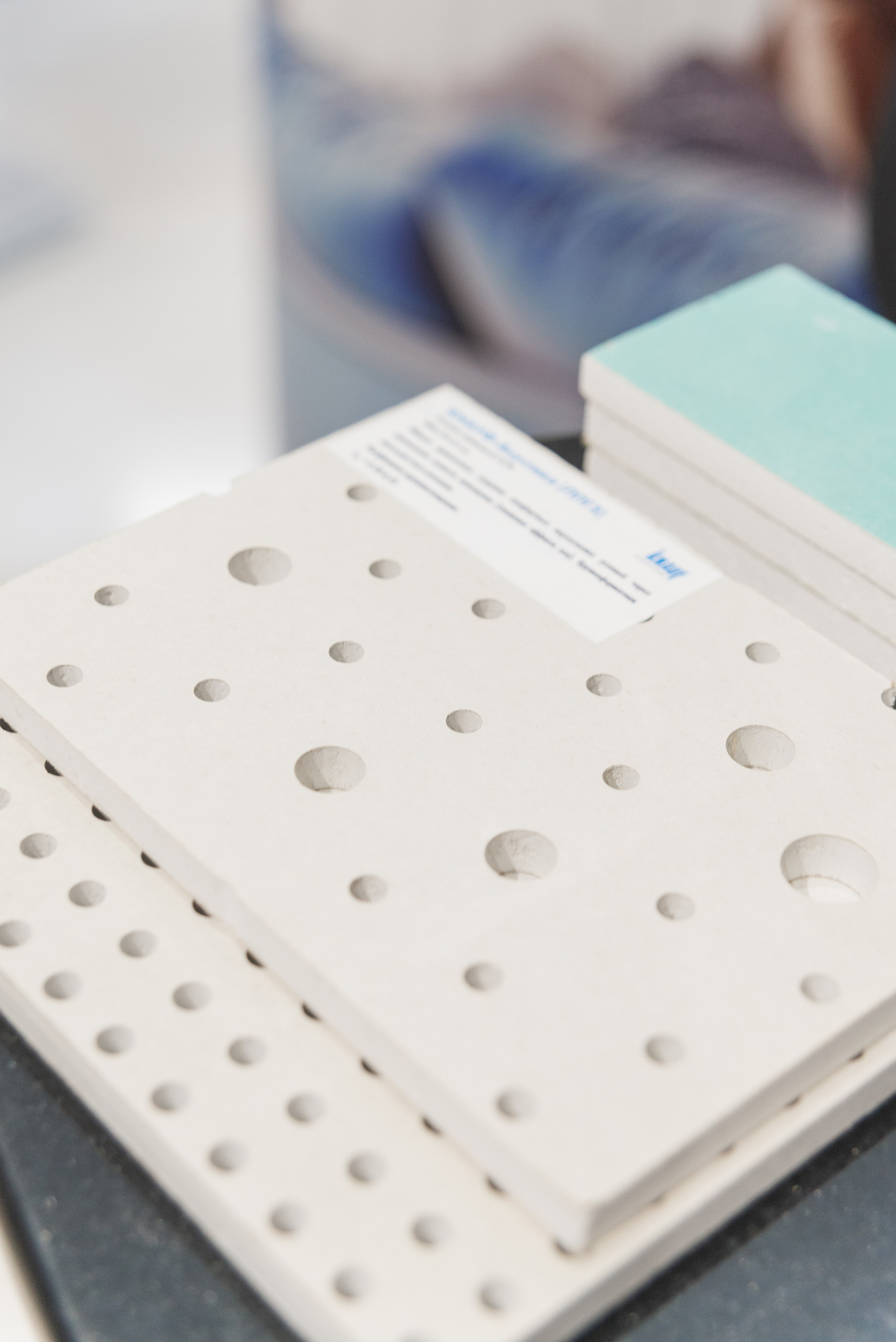 Фотосессия конференции в Краснодаре