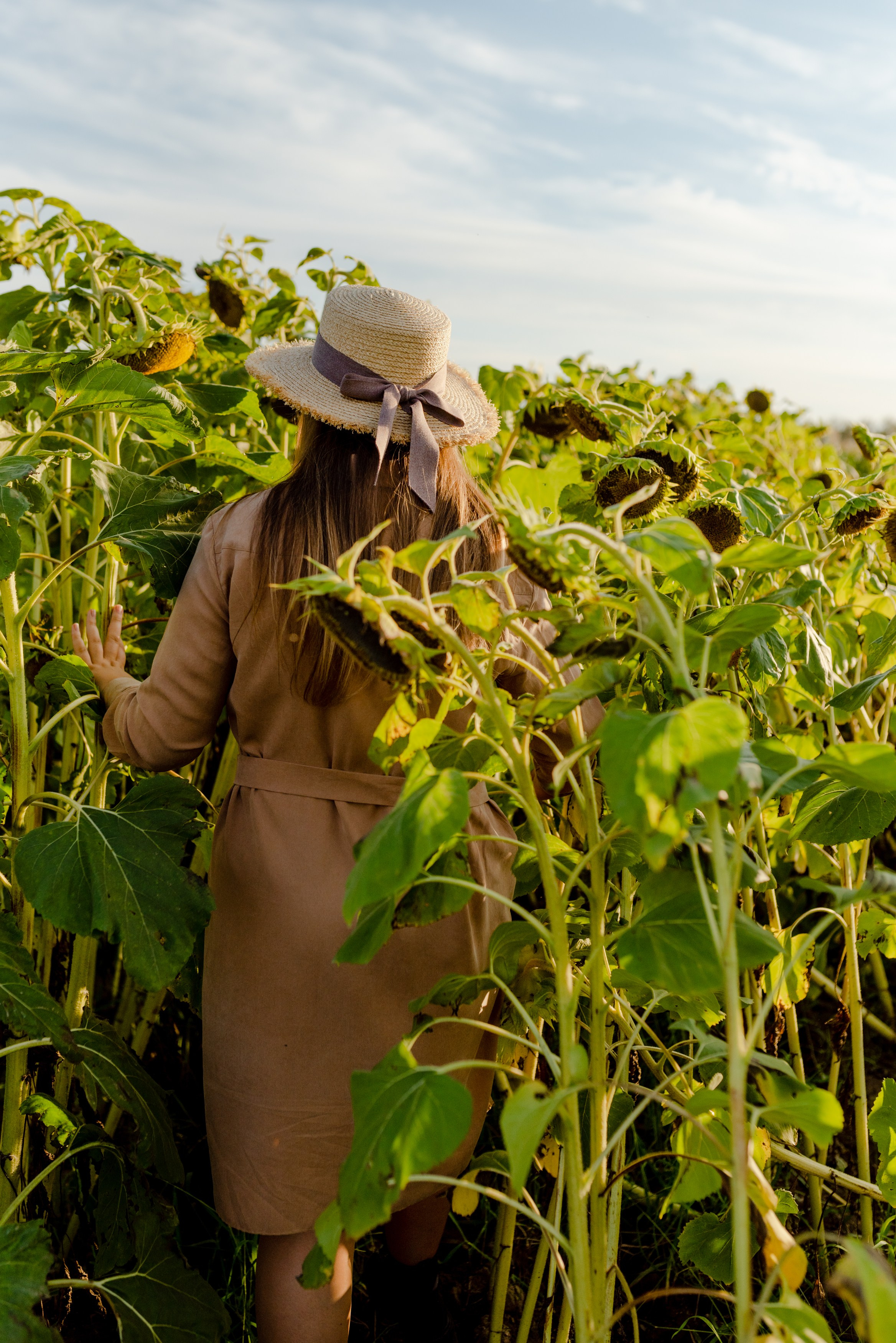 ПОДСОЛНУХИ. Шашкова Вероника / Свадебный и семейный фотограф Москва и Ярославль