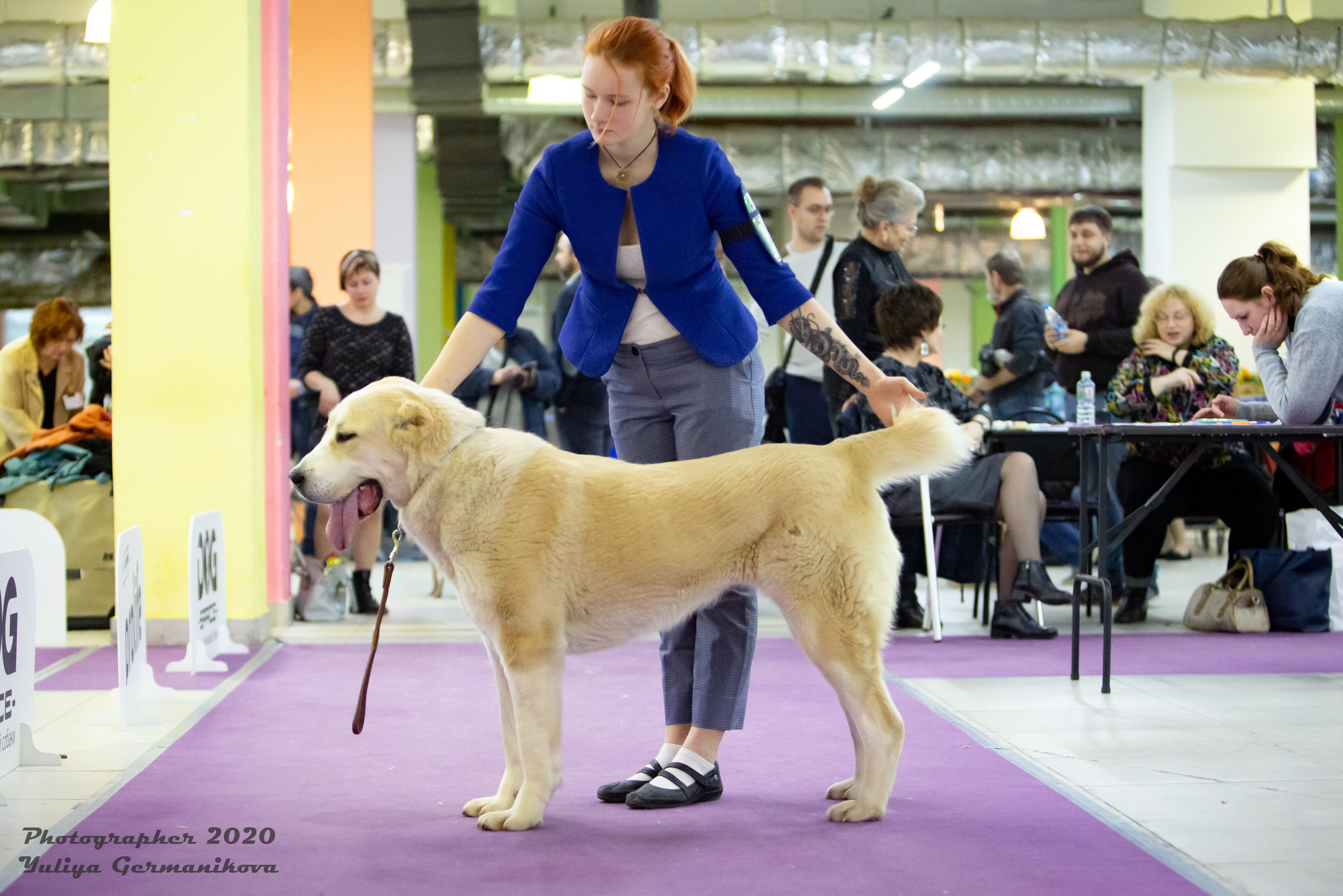 Чайна-Таун 2021. Фотограф-анималист Юлия Германика