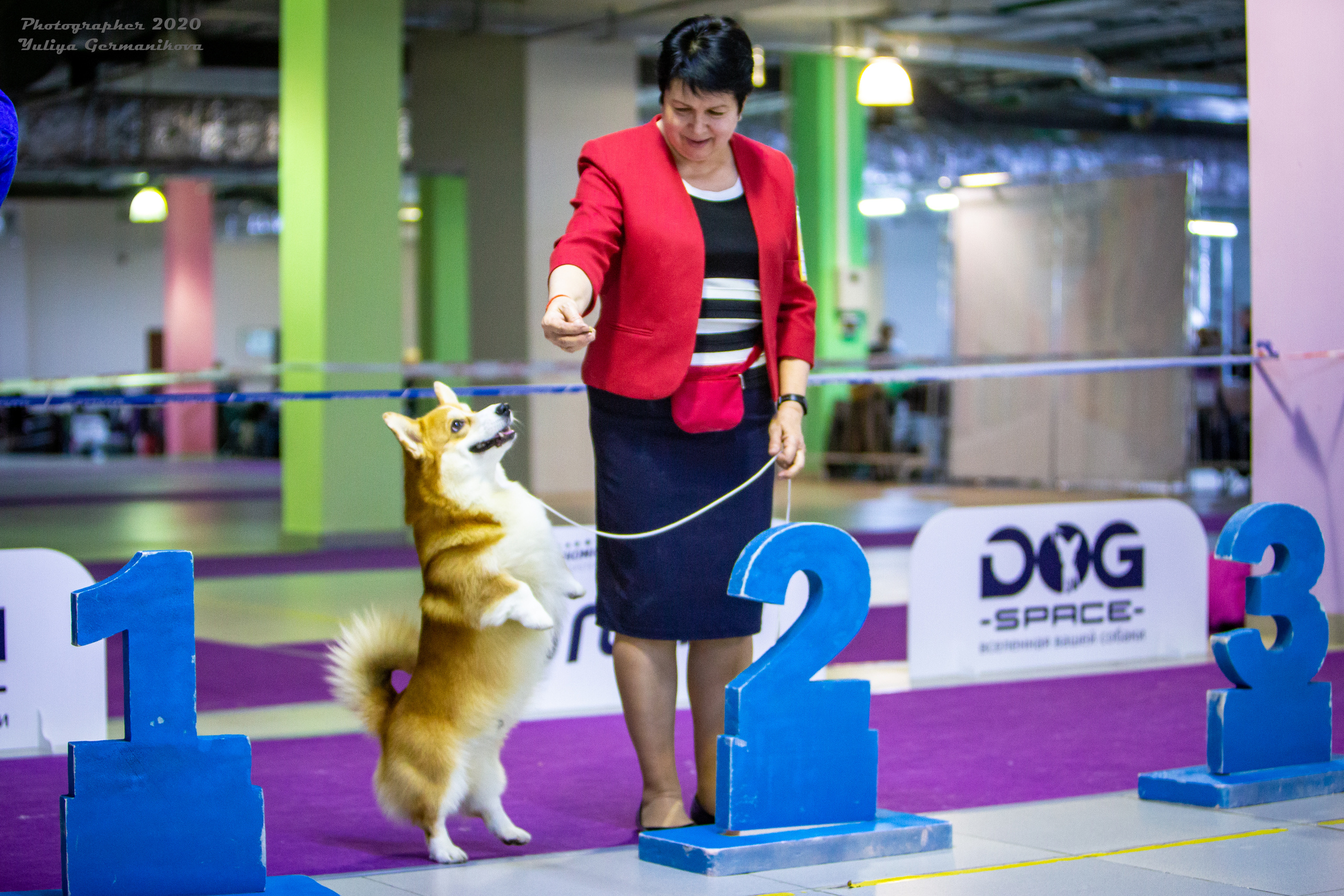 Монопородные выставки. Фотограф-анималист Юлия Германика