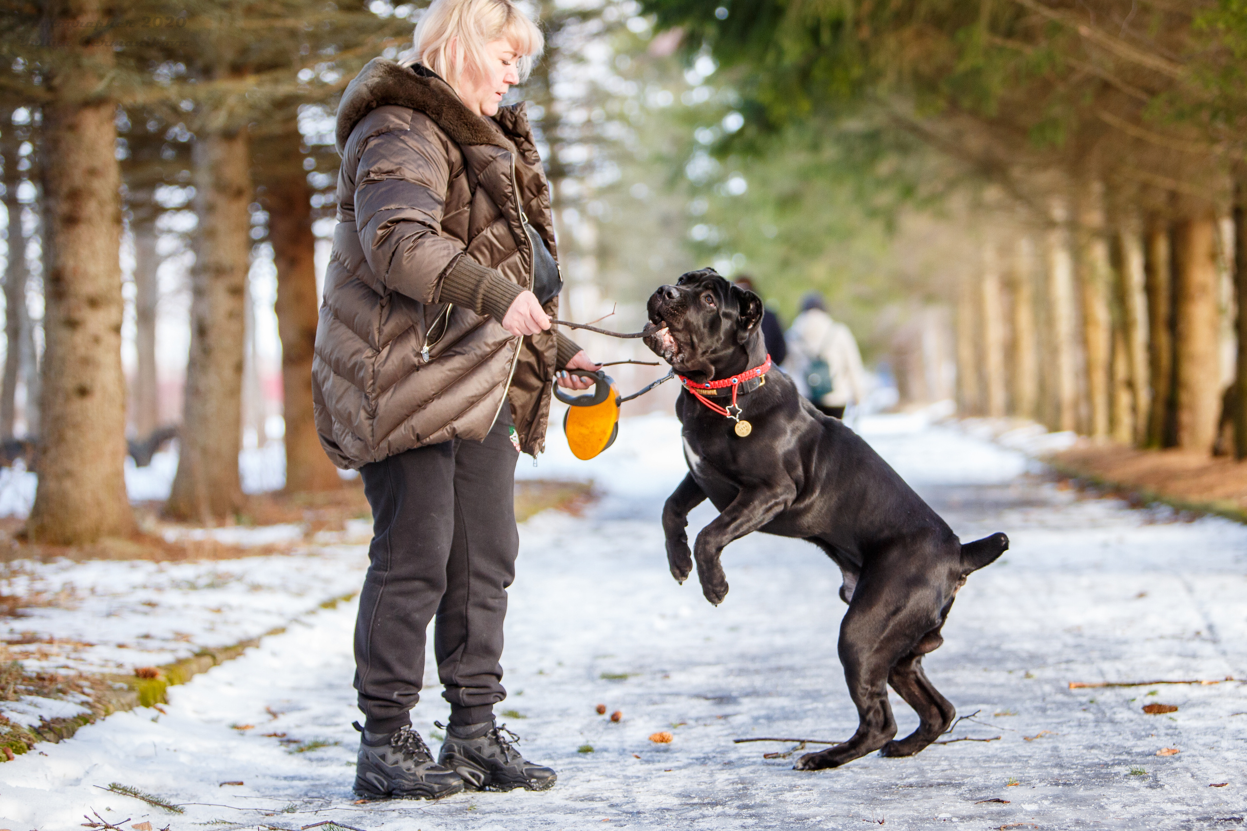 Свободная съемка. Фотограф-анималист Юлия Германика