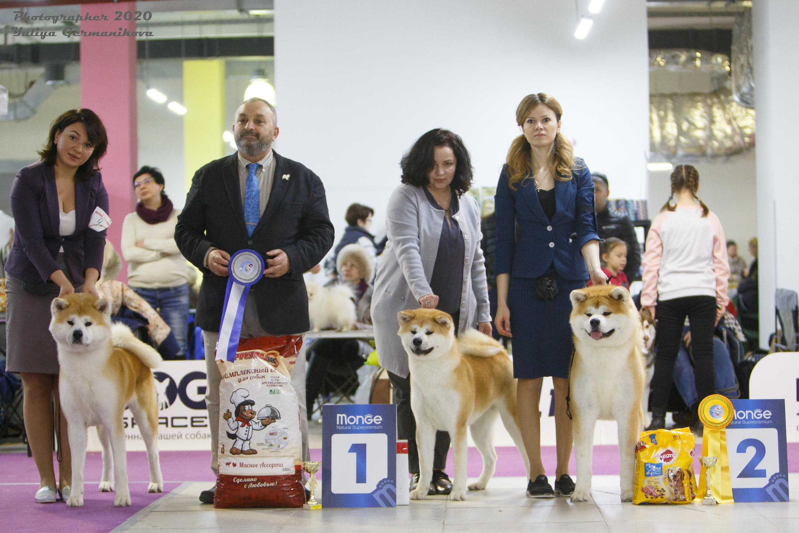 Чайна-Таун 2021. Фотограф-анималист Юлия Германика