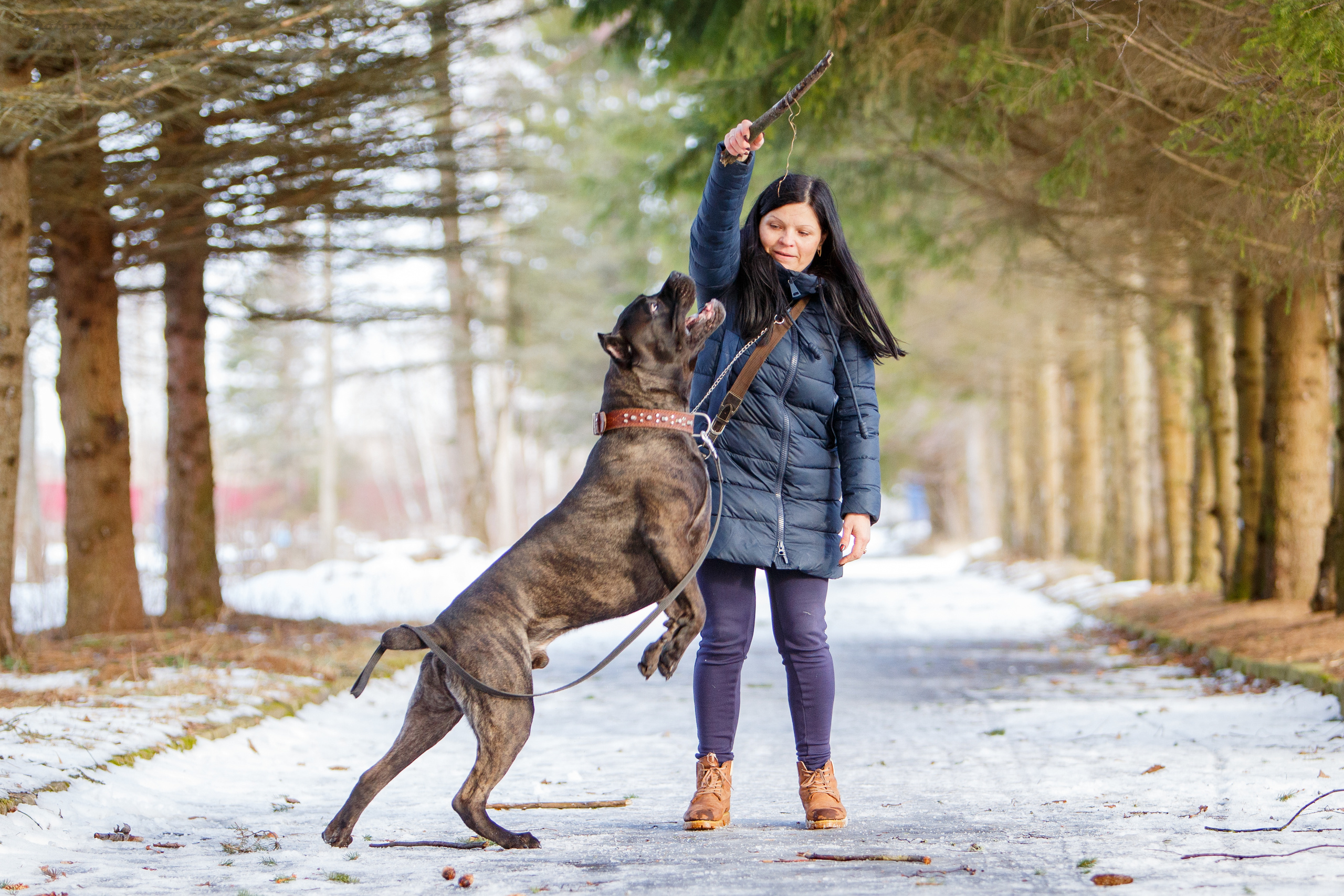 Свободная съемка. Фотограф-анималист Юлия Германика