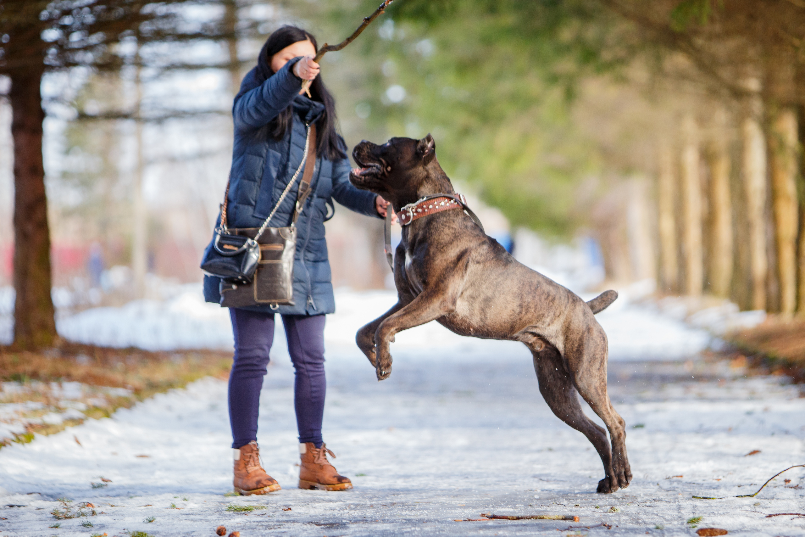 Свободная съемка. Фотограф-анималист Юлия Германика
