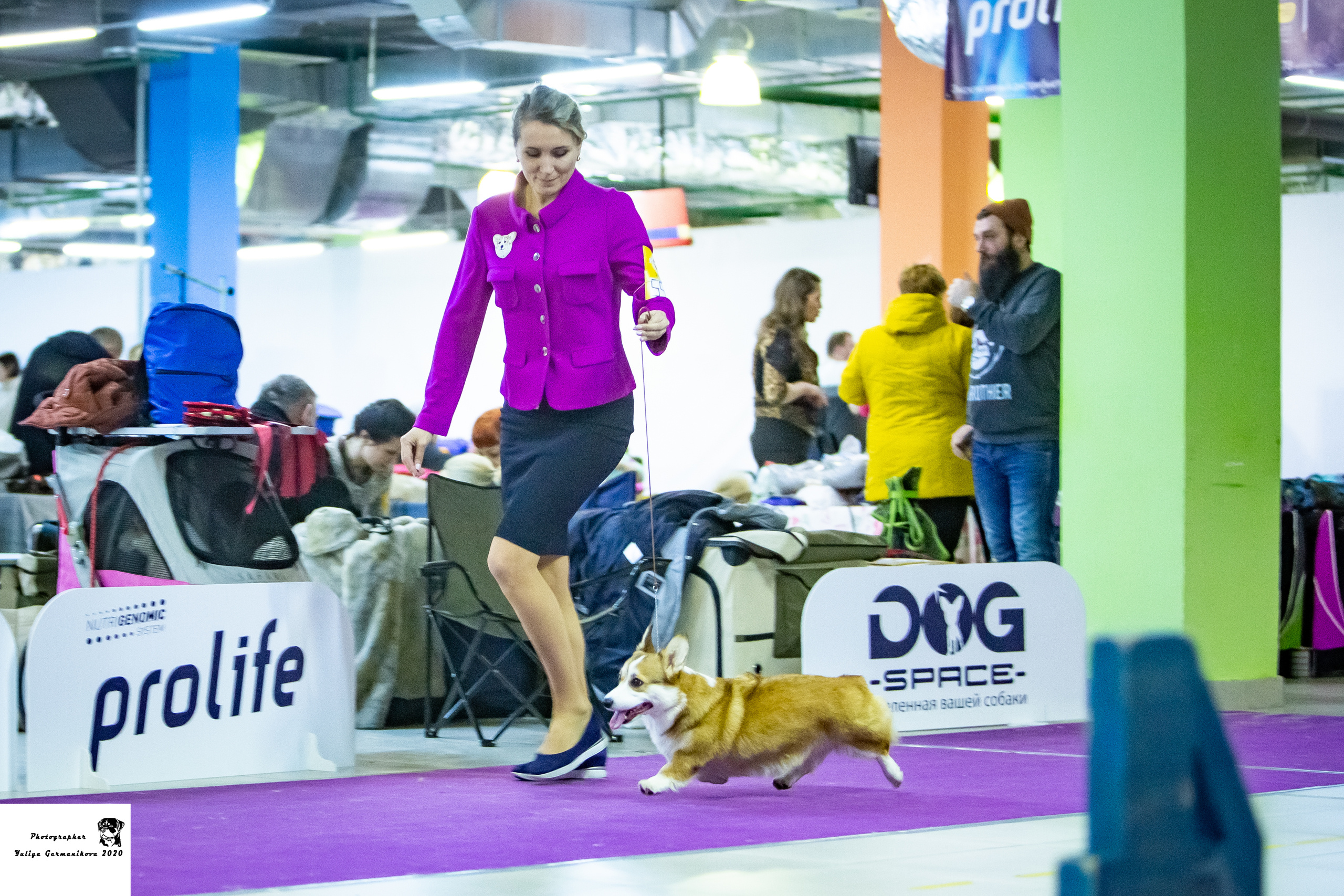 Монопородные выставки. Фотограф-анималист Юлия Германика