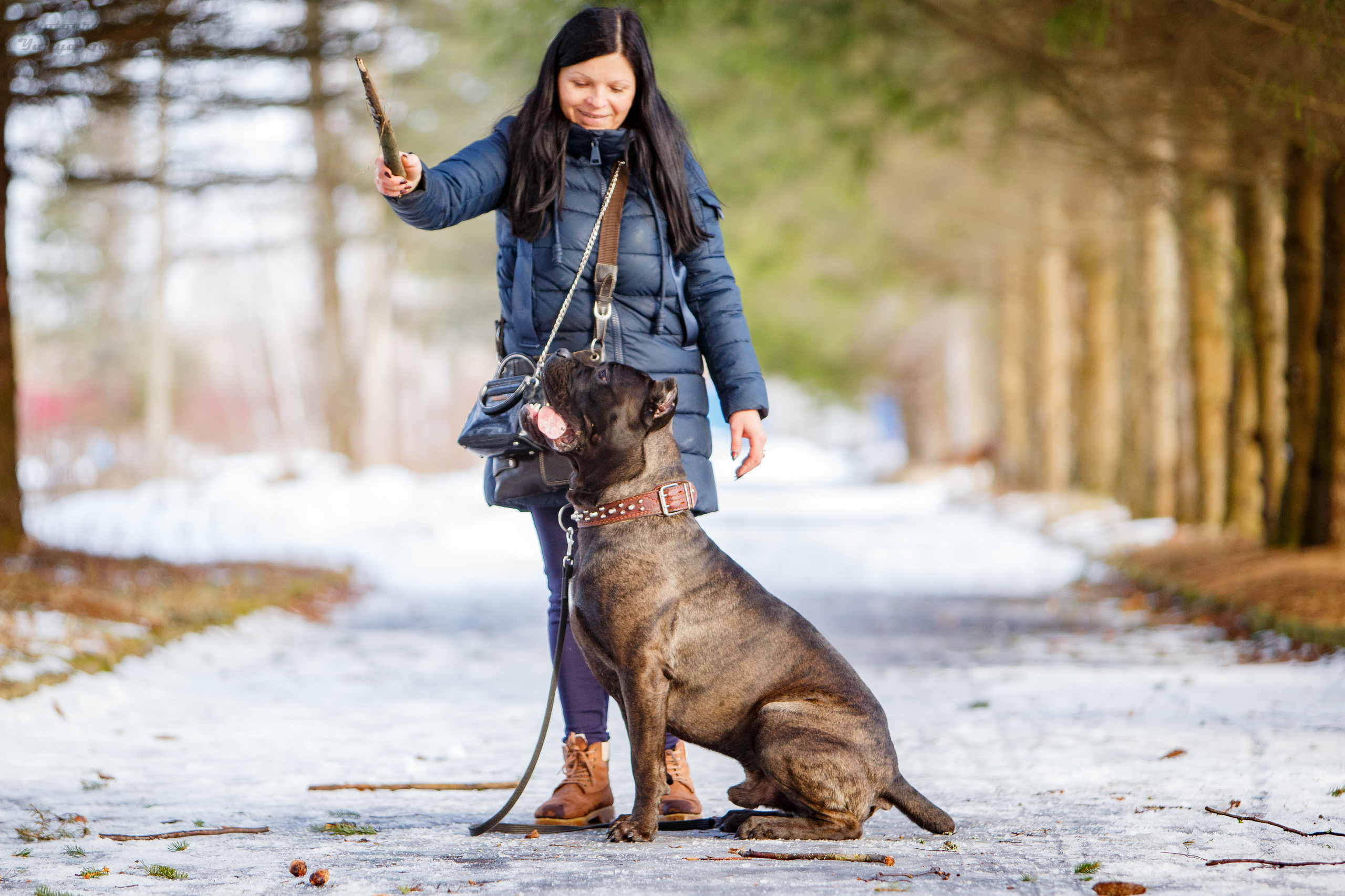 Свободная съемка. Фотограф-анималист Юлия Германика
