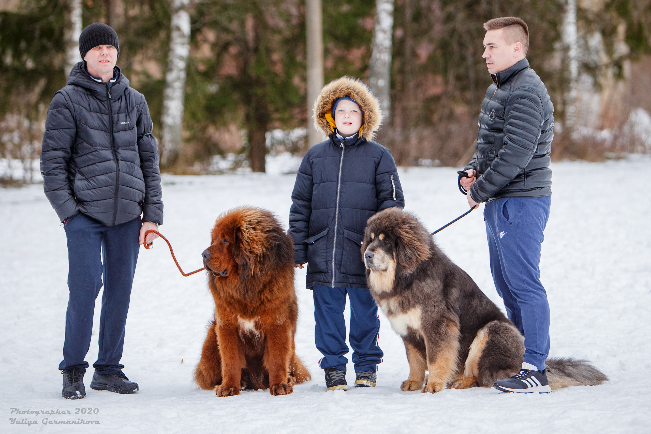 Свободная съемка. Фотограф-анималист Юлия Германика